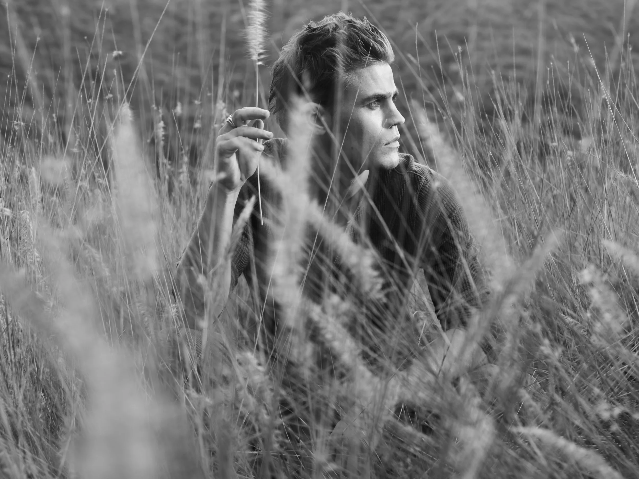 PAUL WESLEY