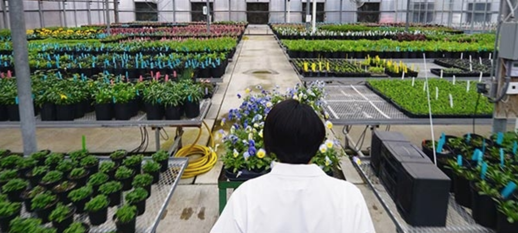 VIEW CASE STUDY FILM