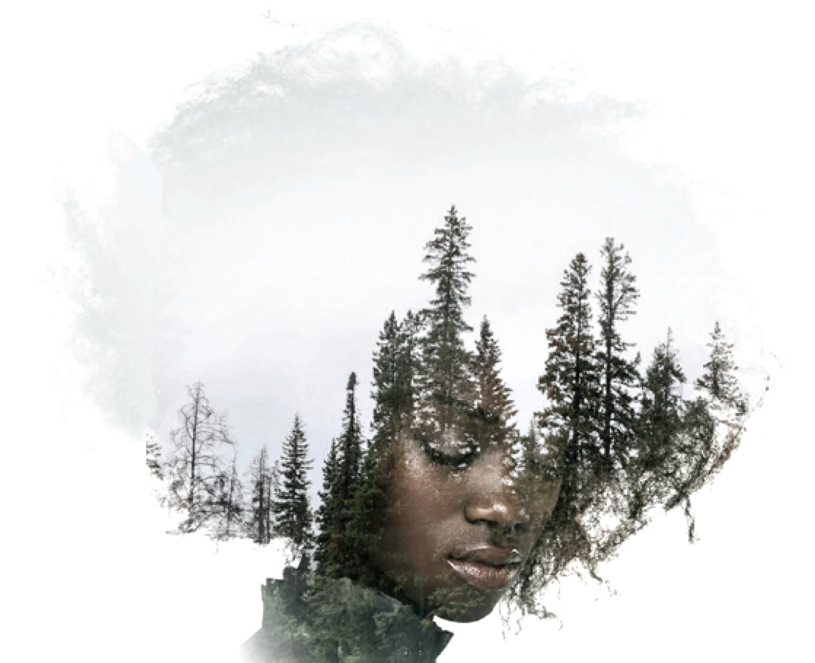 Creative direction establishing look &amp; feel. Direction designers, producers. Client: Glade