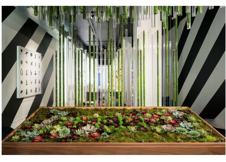 Experiential popup store in NY for fragrance brand.