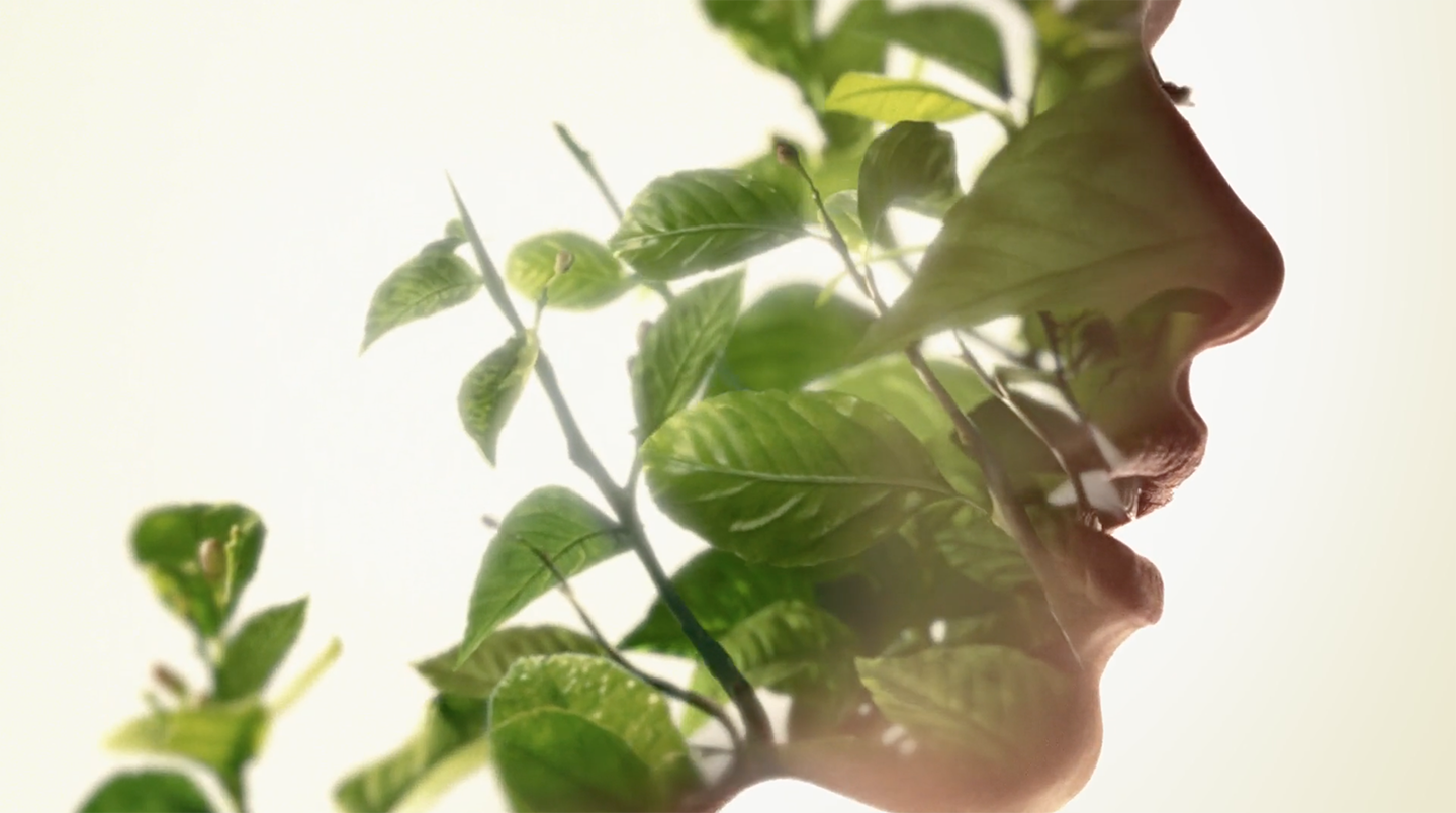 *Keyframe from integrated brand campaign to launch new fragrance line. One image from a series of animated films (Creative direction : overseeing designers, animators, production) 