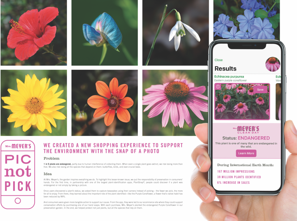 Screen+Shot+2019-05-08+at+8.14.50+AM copy.png