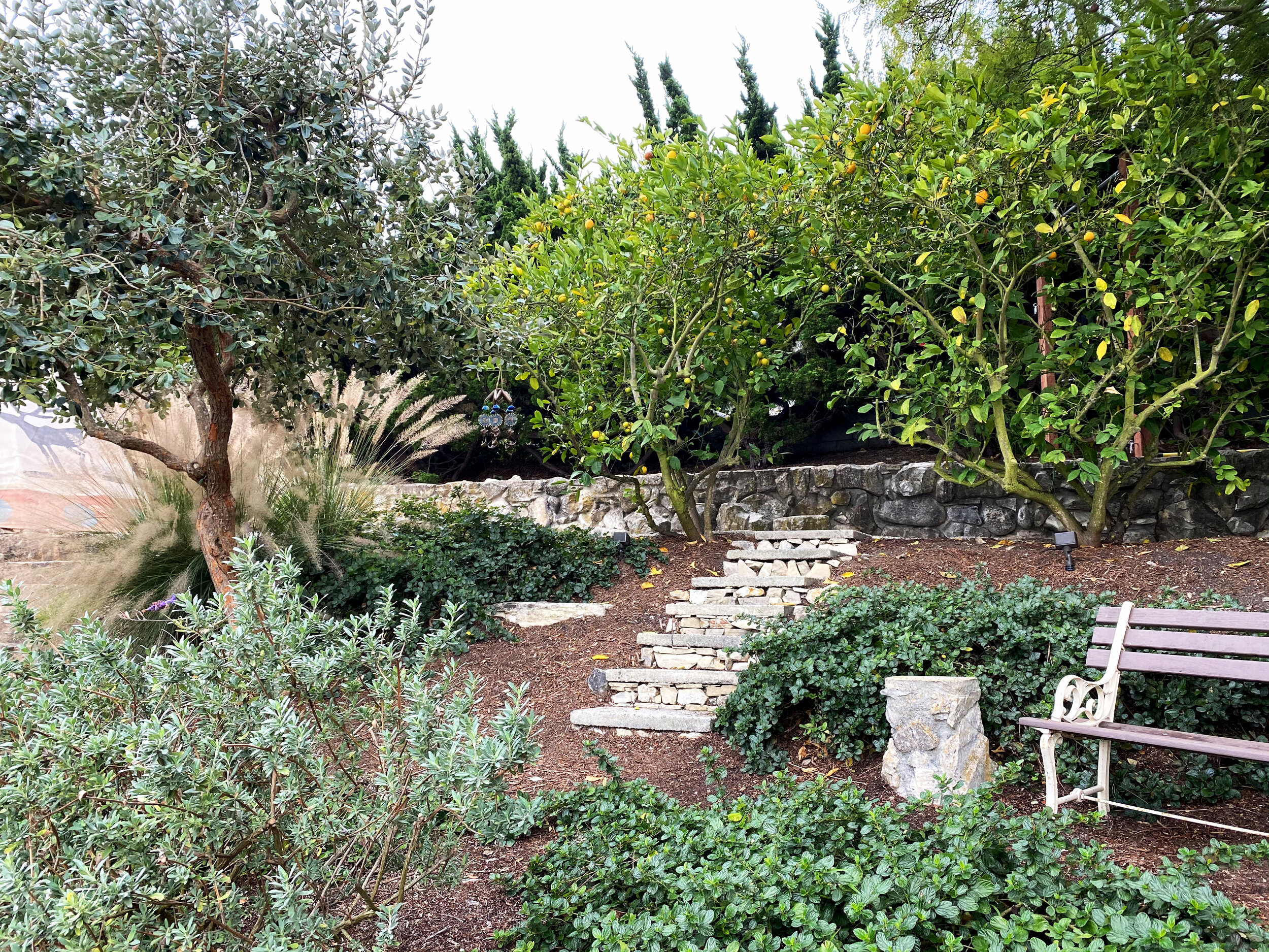 More Fruit and Native Plants.jpg