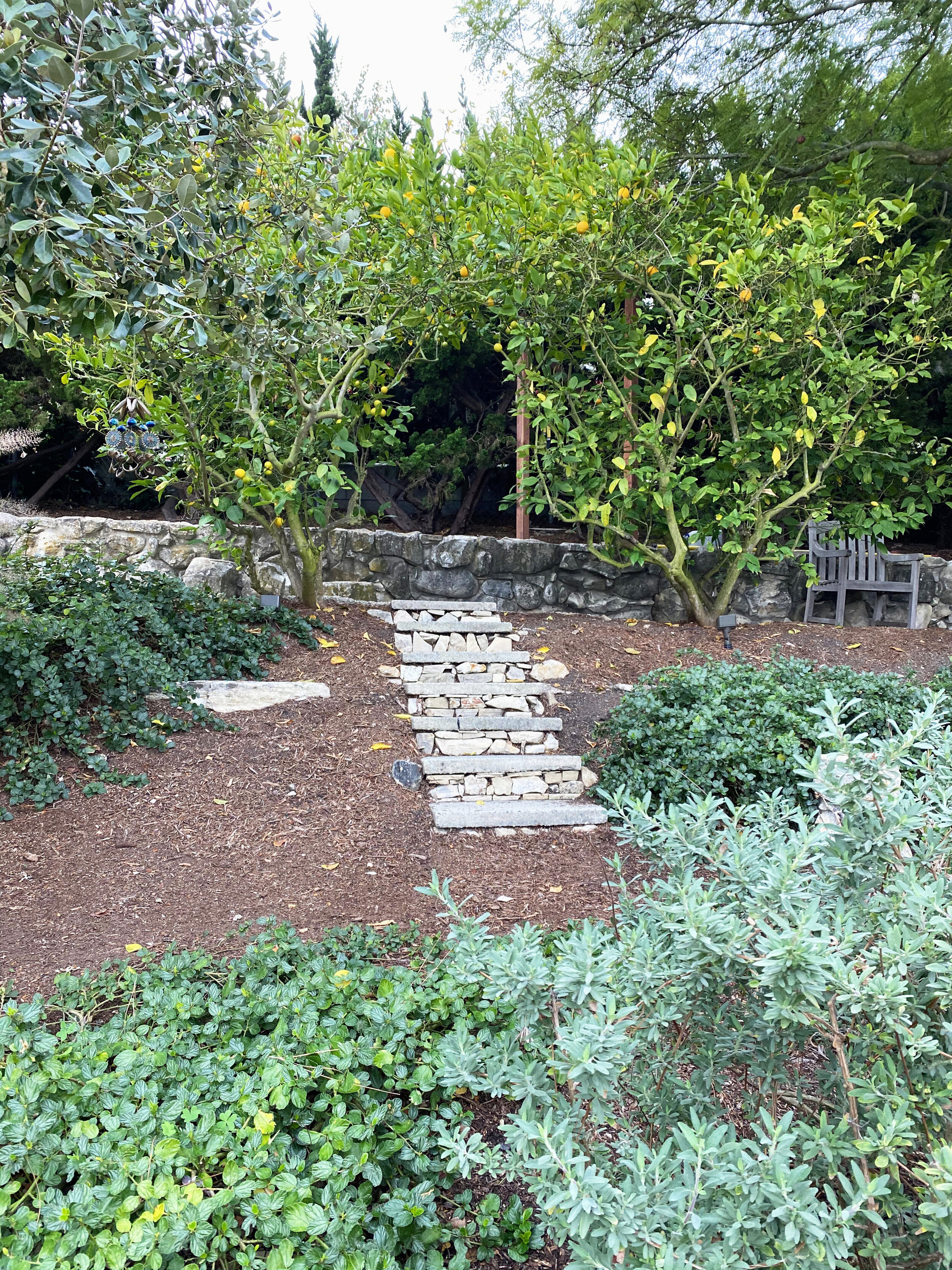 California Fruit and Native Plants