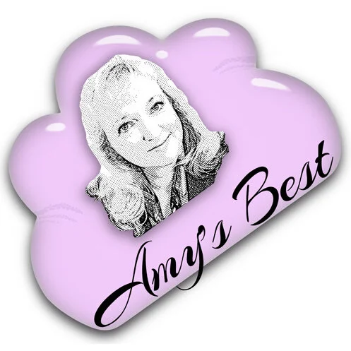 amysbestcornerlogo_square.jpg