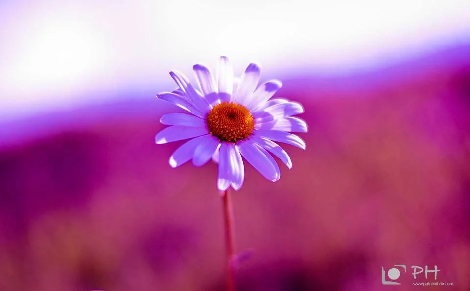 Encontrarse a si mismo