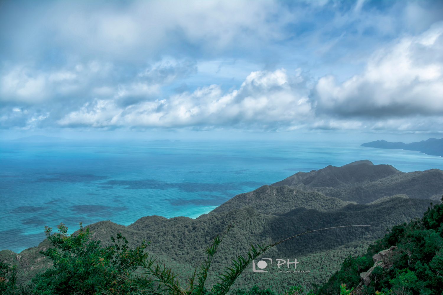 DSC_4106-2.jpg
