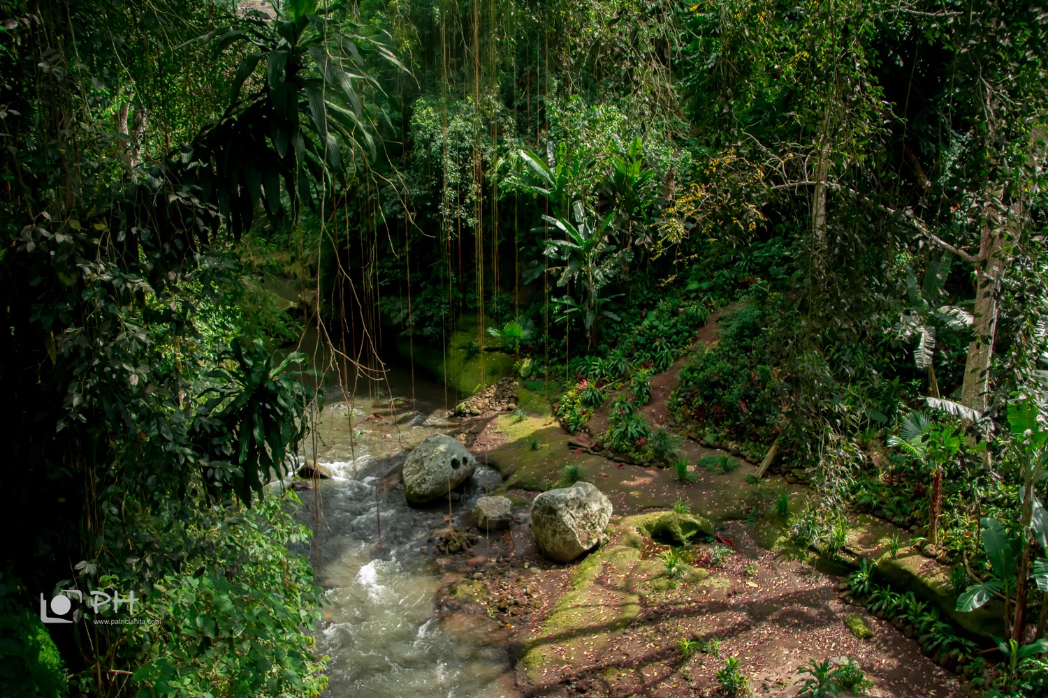 DSC_5061_2.jpg
