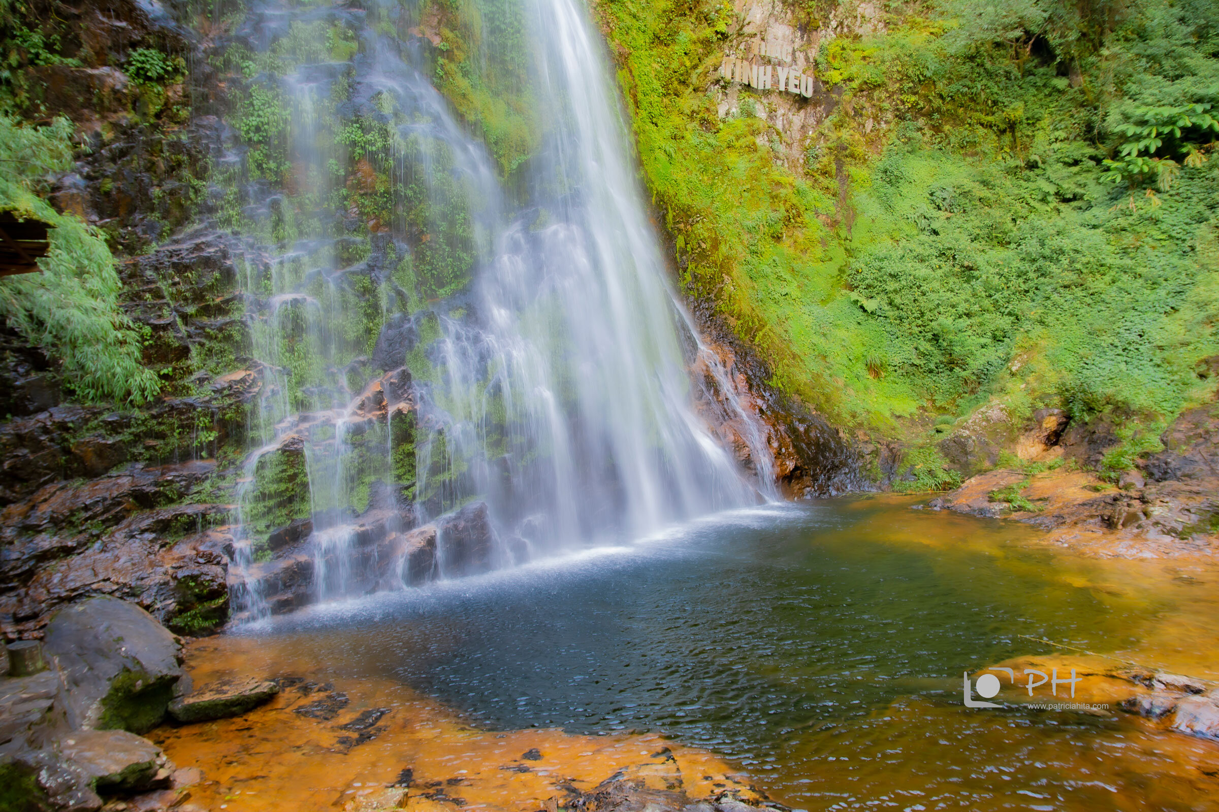 DSC_0995.jpg