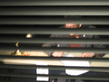 after_hours3_001.gif
