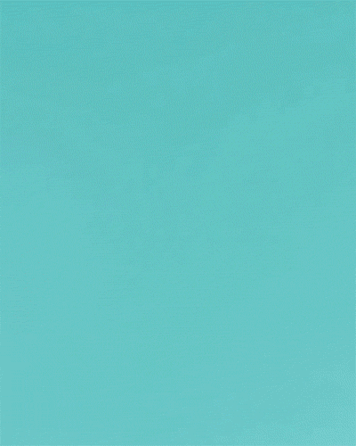 TCO_SpringBookPromo17_v04.gif