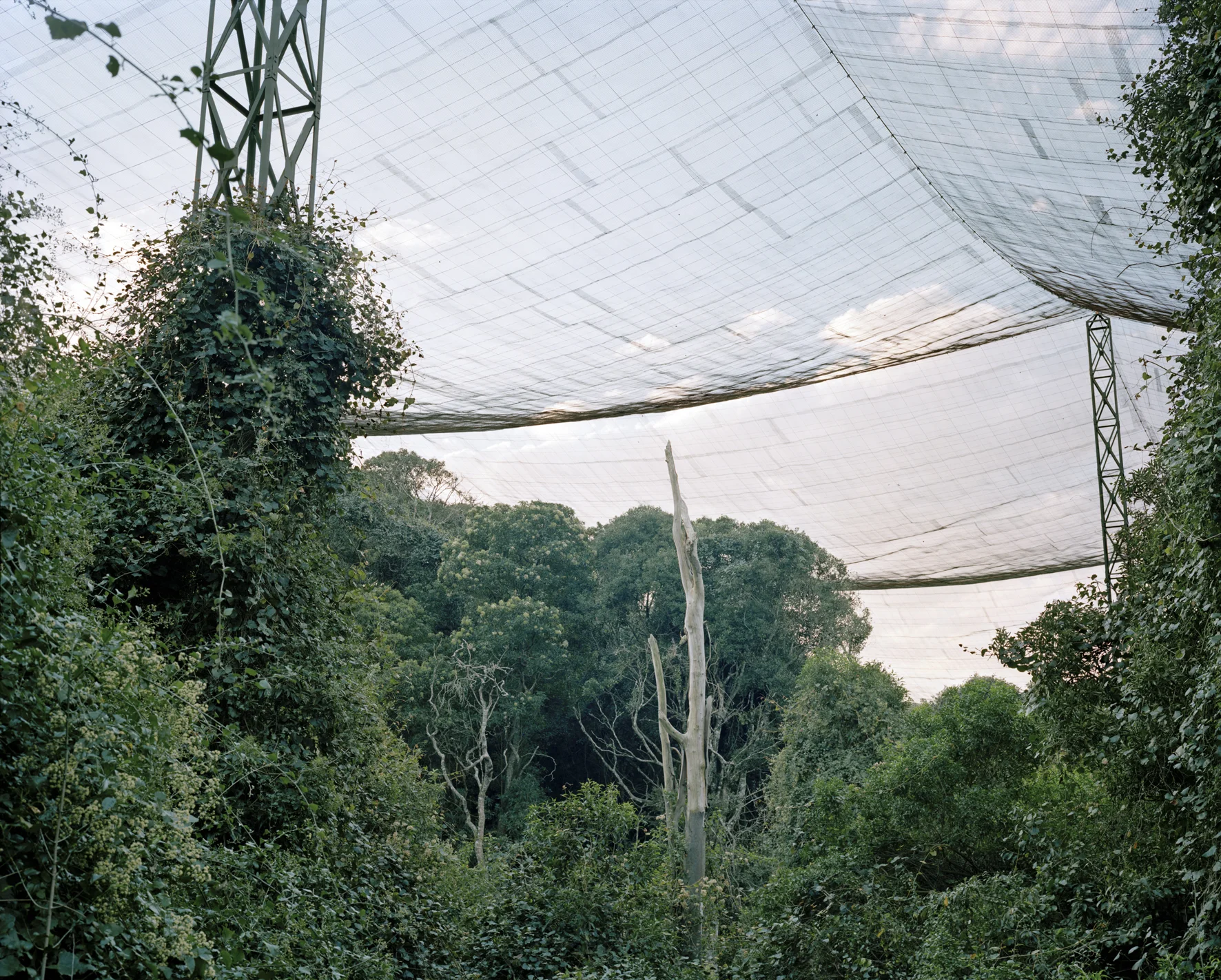Eden_01_F.jpg