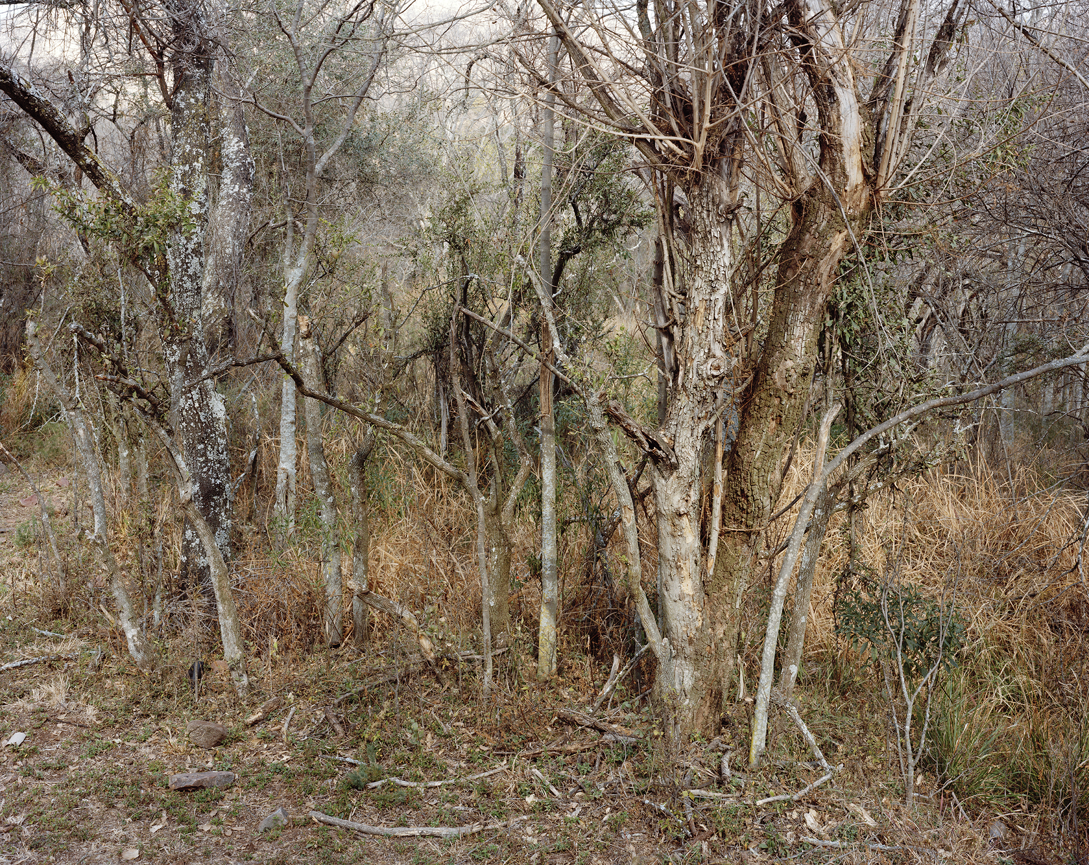 Building 5100, Pelindaba, South Africa 2014 Archival Pigment Ink Print on Cotton Paper 30x35 inches