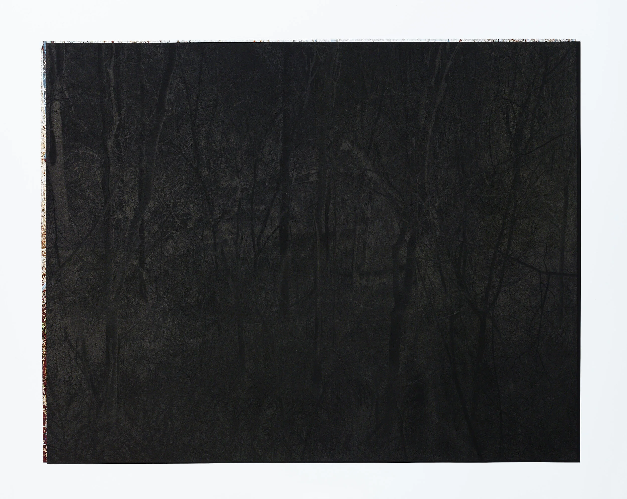 Black Landscape #1
