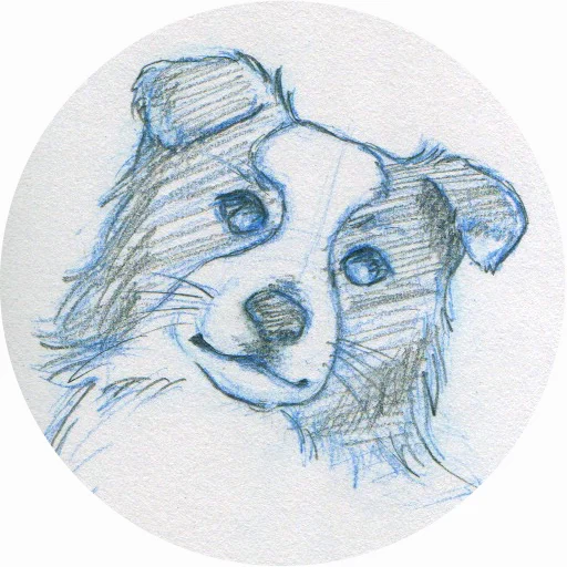 SketchesSq.jpg