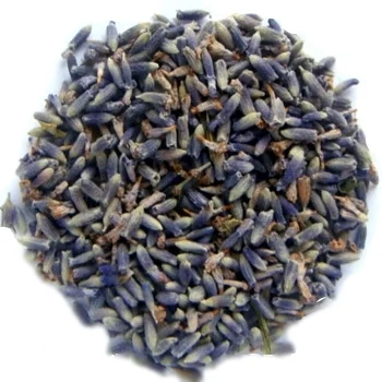 tibetan lavender.JPG