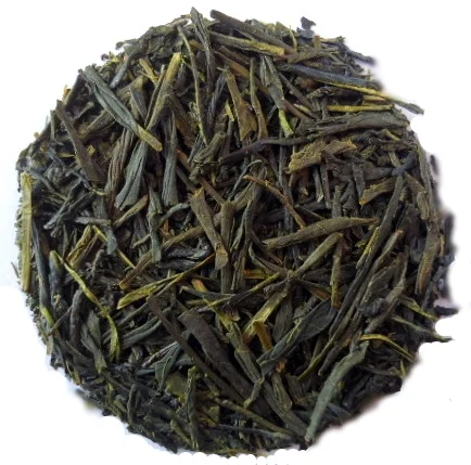 Sencha.JPG