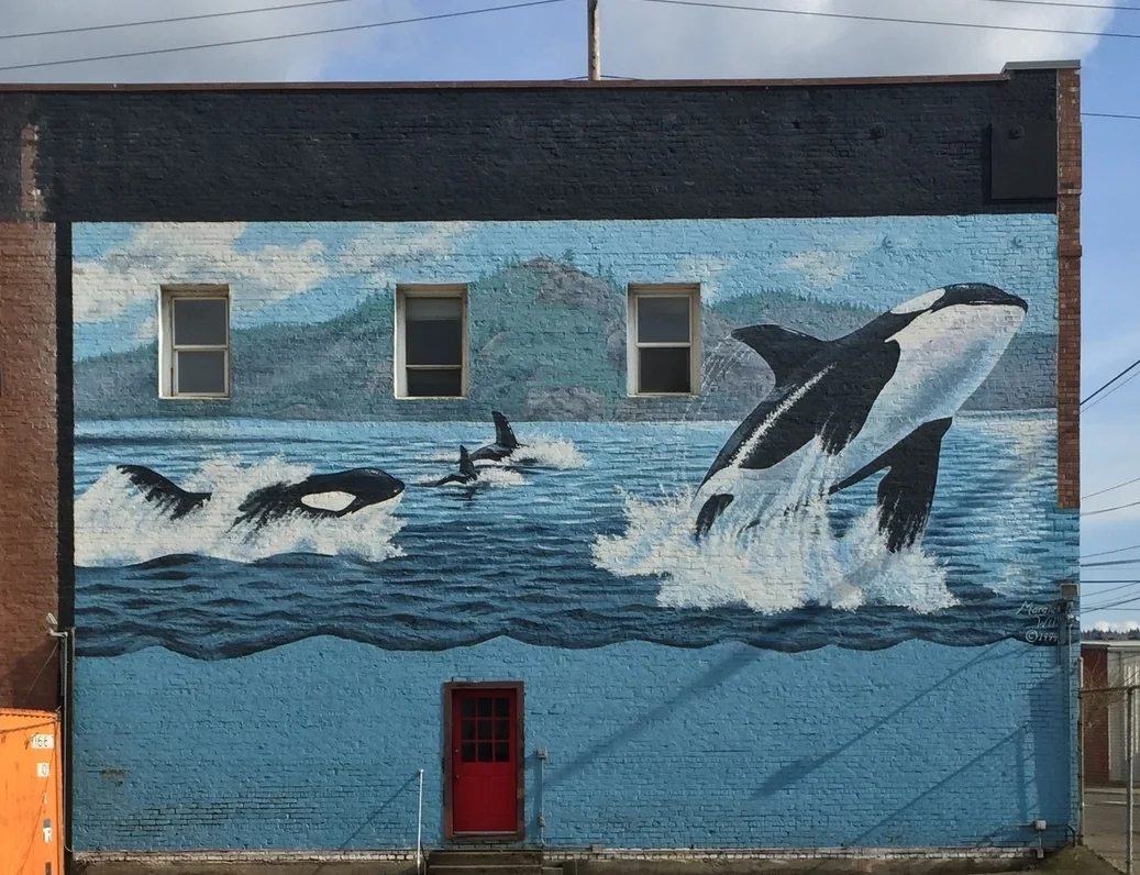 Orca Whales Mural, today-  now 21 years old