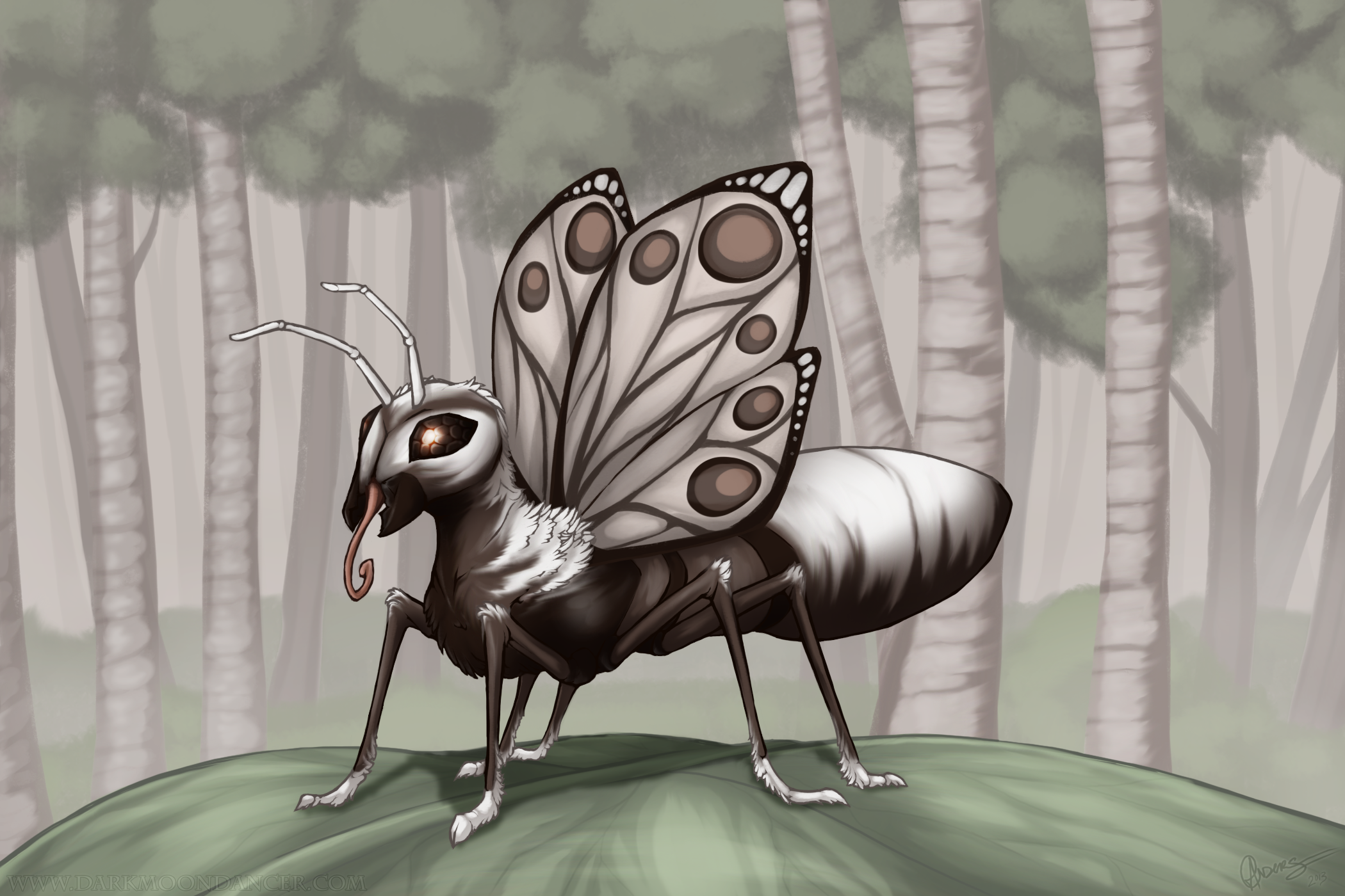 Butterant in the Birches