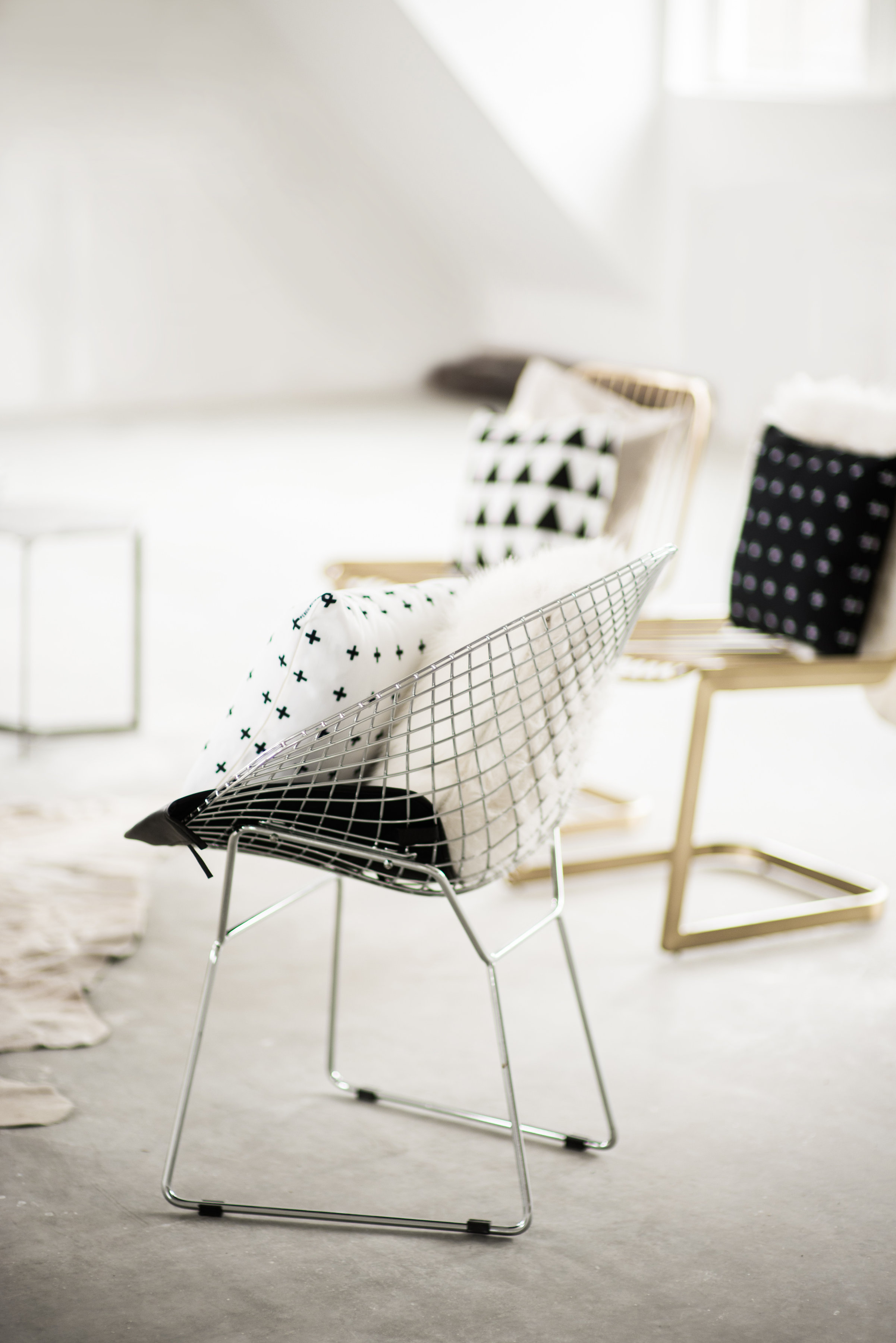 www.elizabethladuca.com-modern-minimal-159.jpg