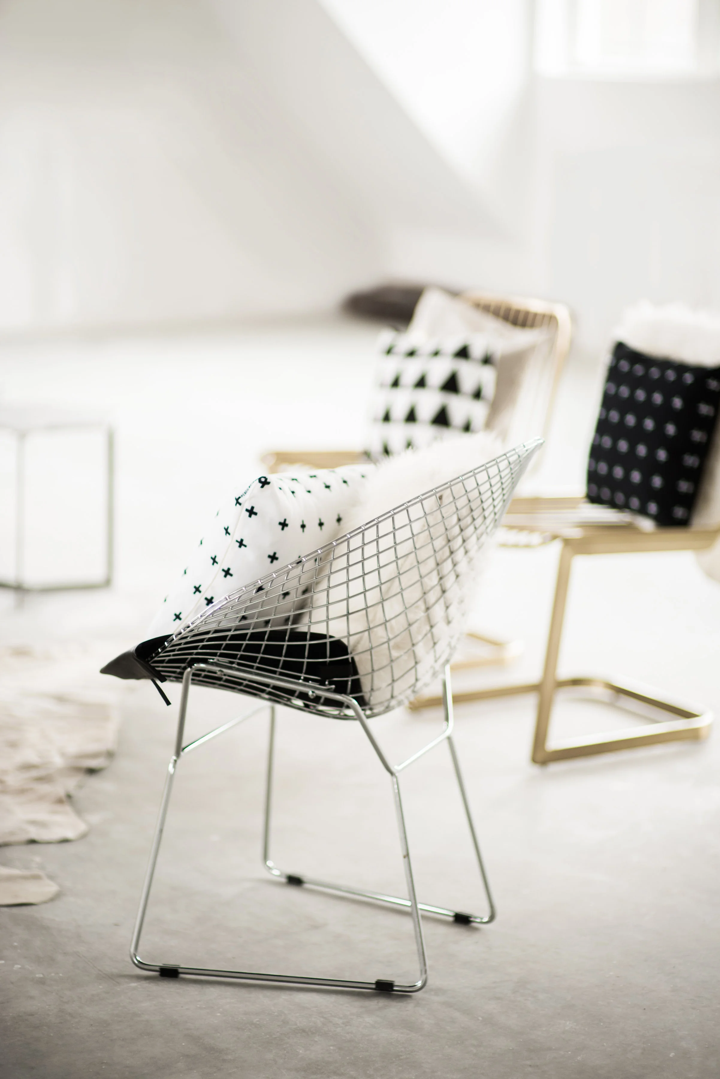 www.elizabethladuca.com-modern-minimal-159.jpg