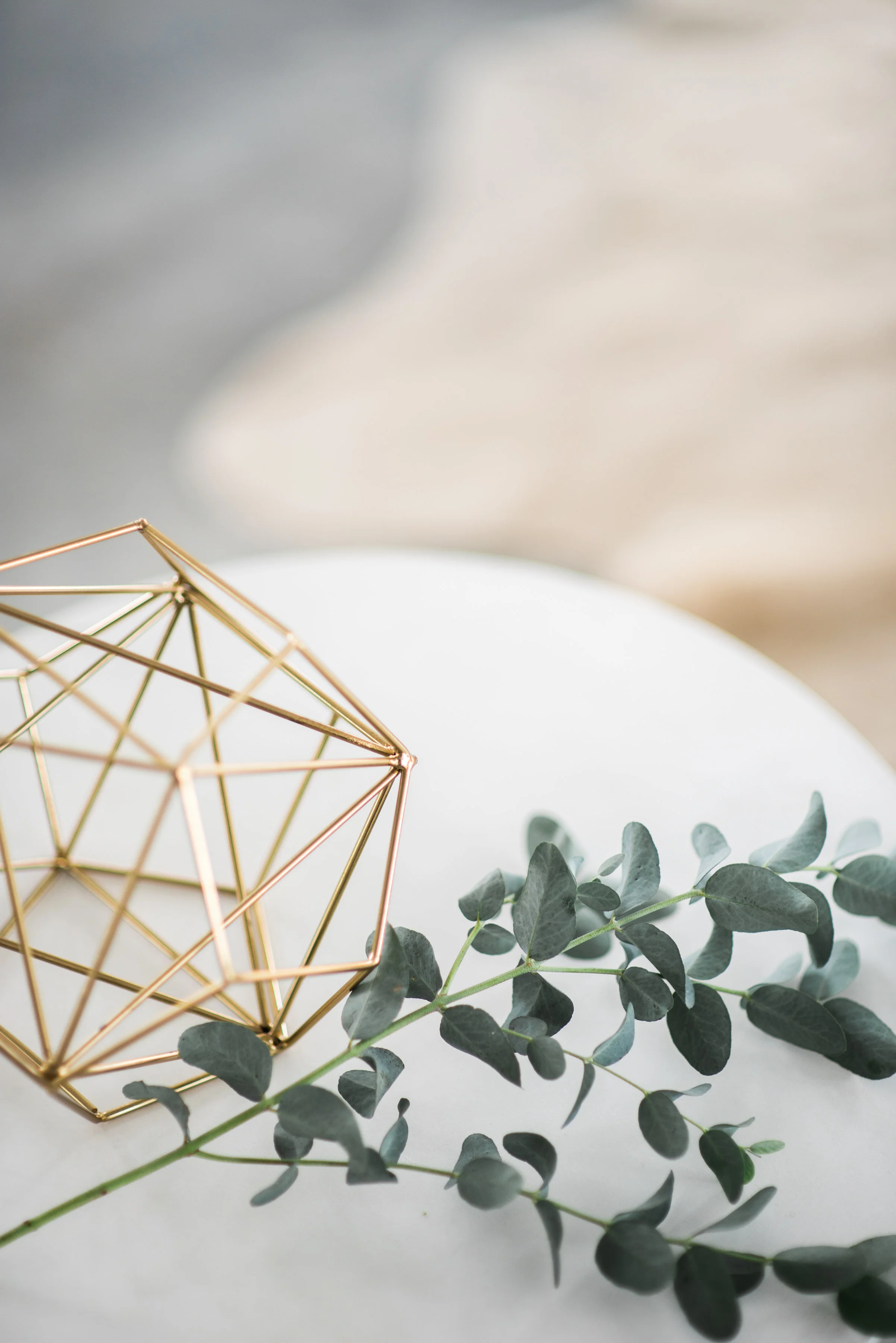 www.elizabethladuca.com-modern-minimal-172.jpg
