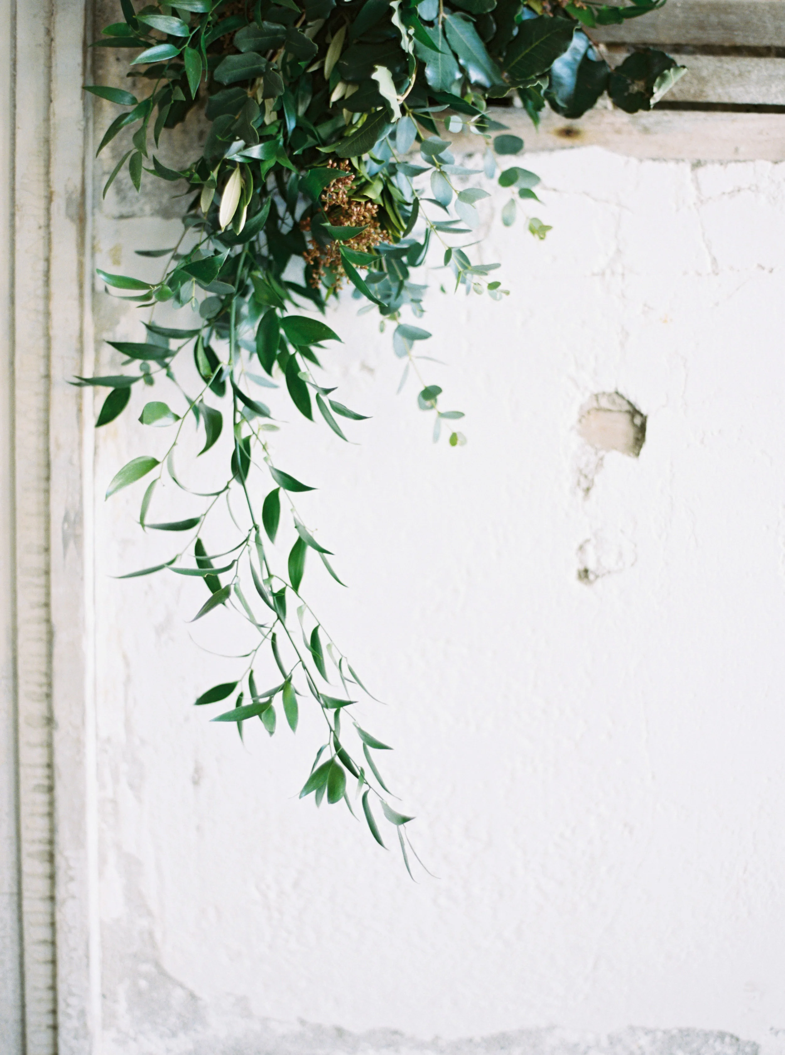 www.elizabethladuca.com-107.jpg