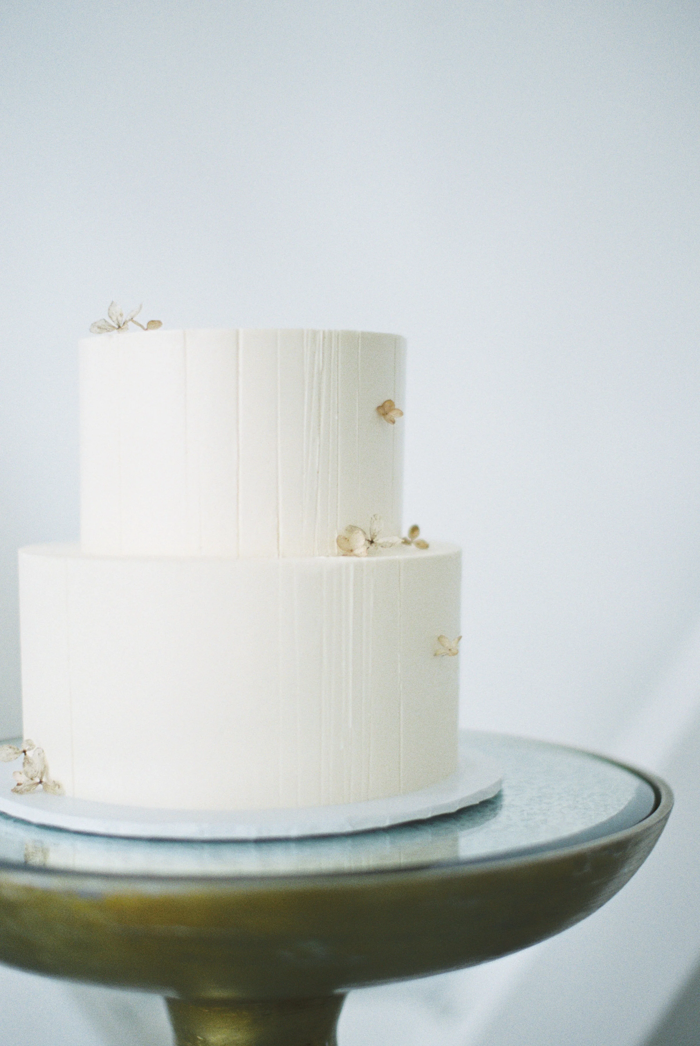 hannahcochranphotography-feb-25-2019-55.jpg