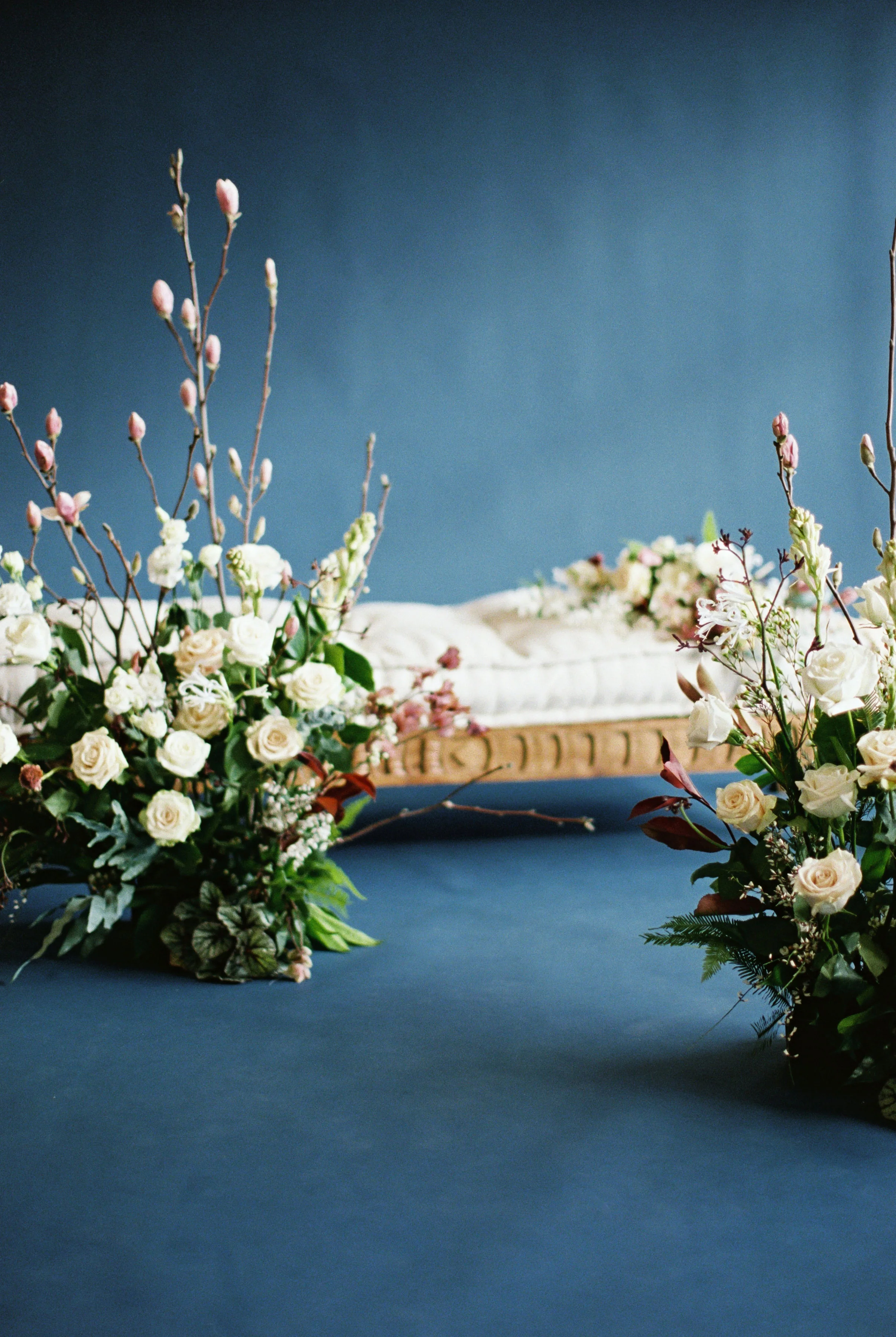 hannahcochranphotography-feb-25-2019-127.jpg