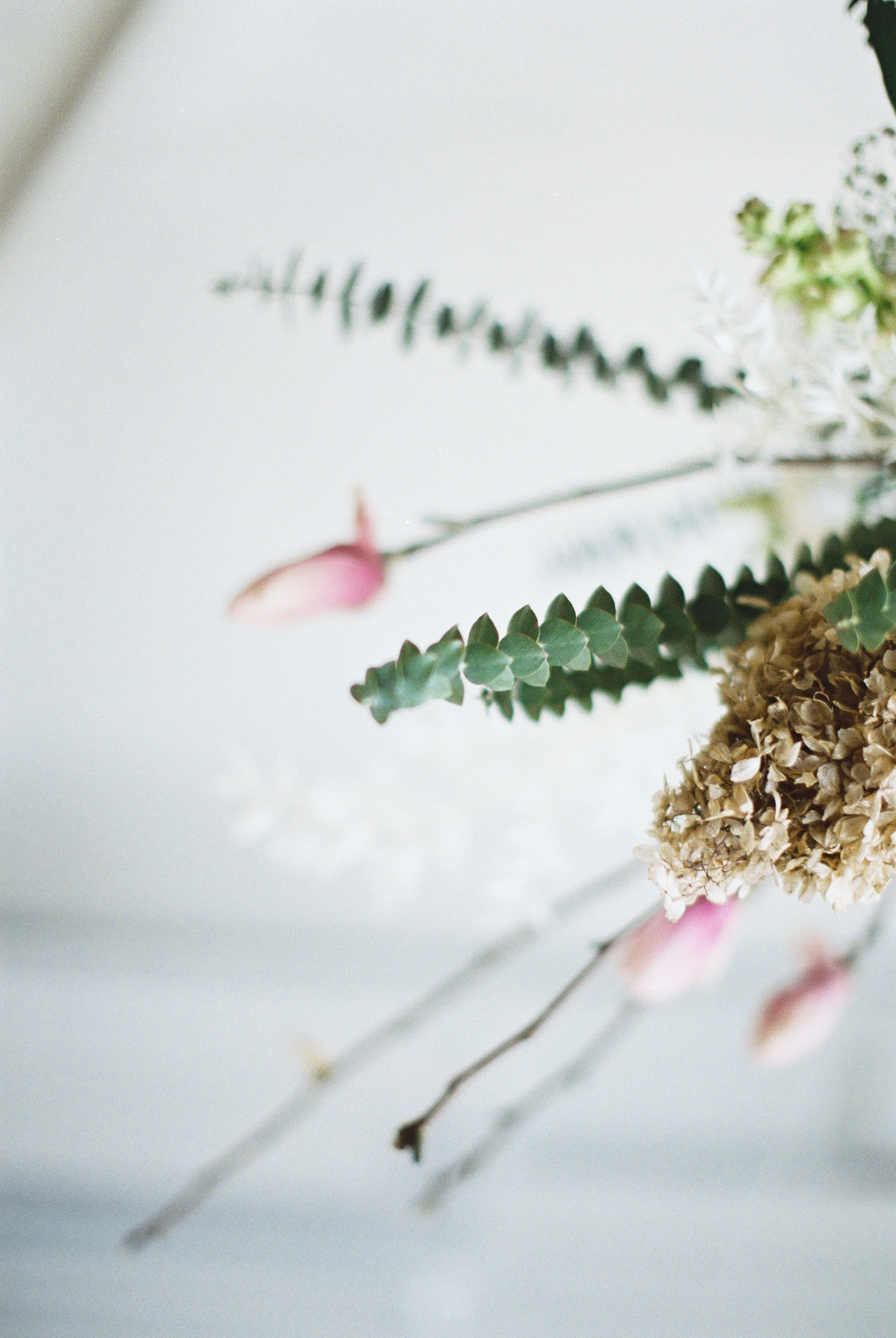hannahcochranphotography-feb-25-2019-181.jpg