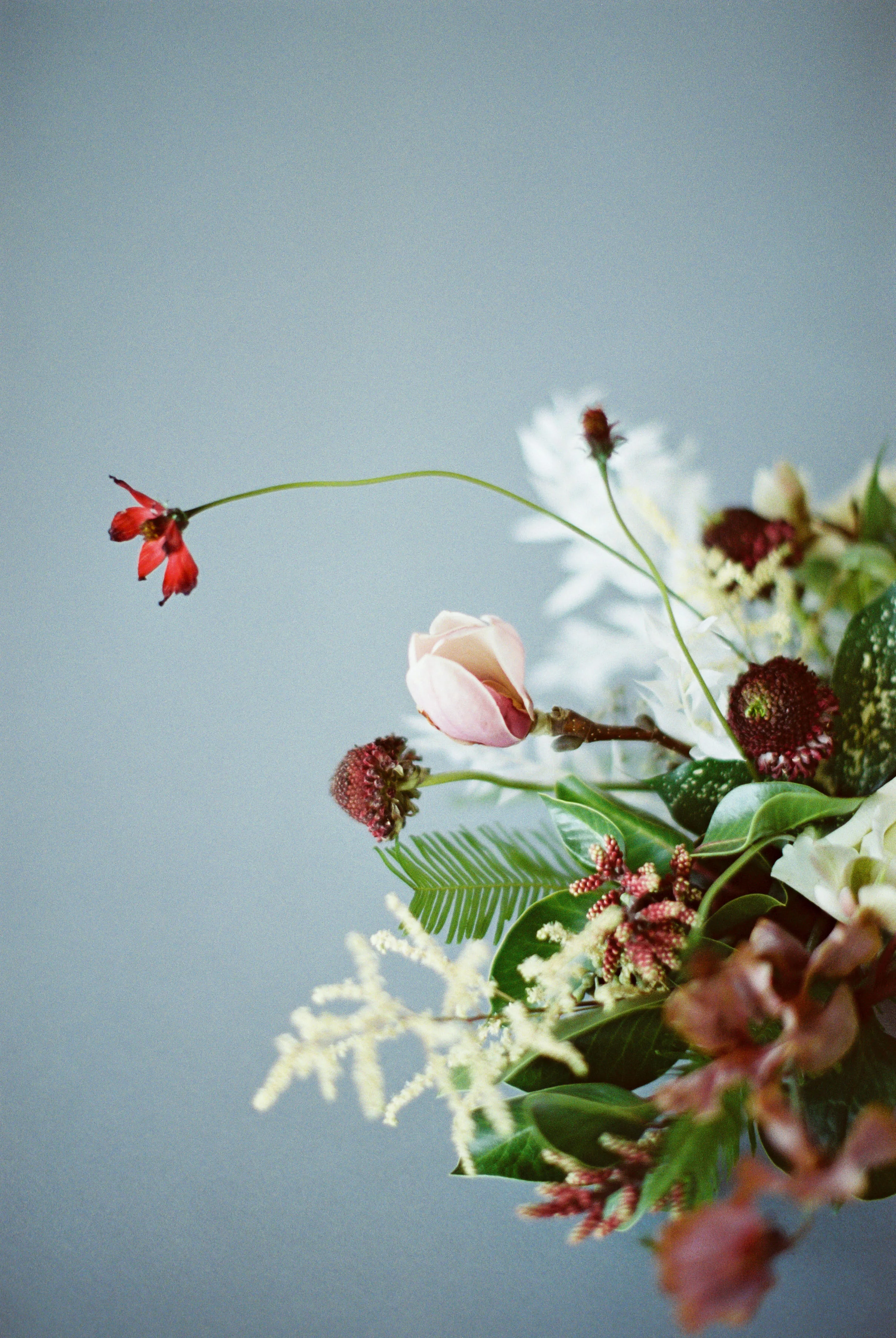 hannahcochranphotography-feb-25-2019-246.jpg