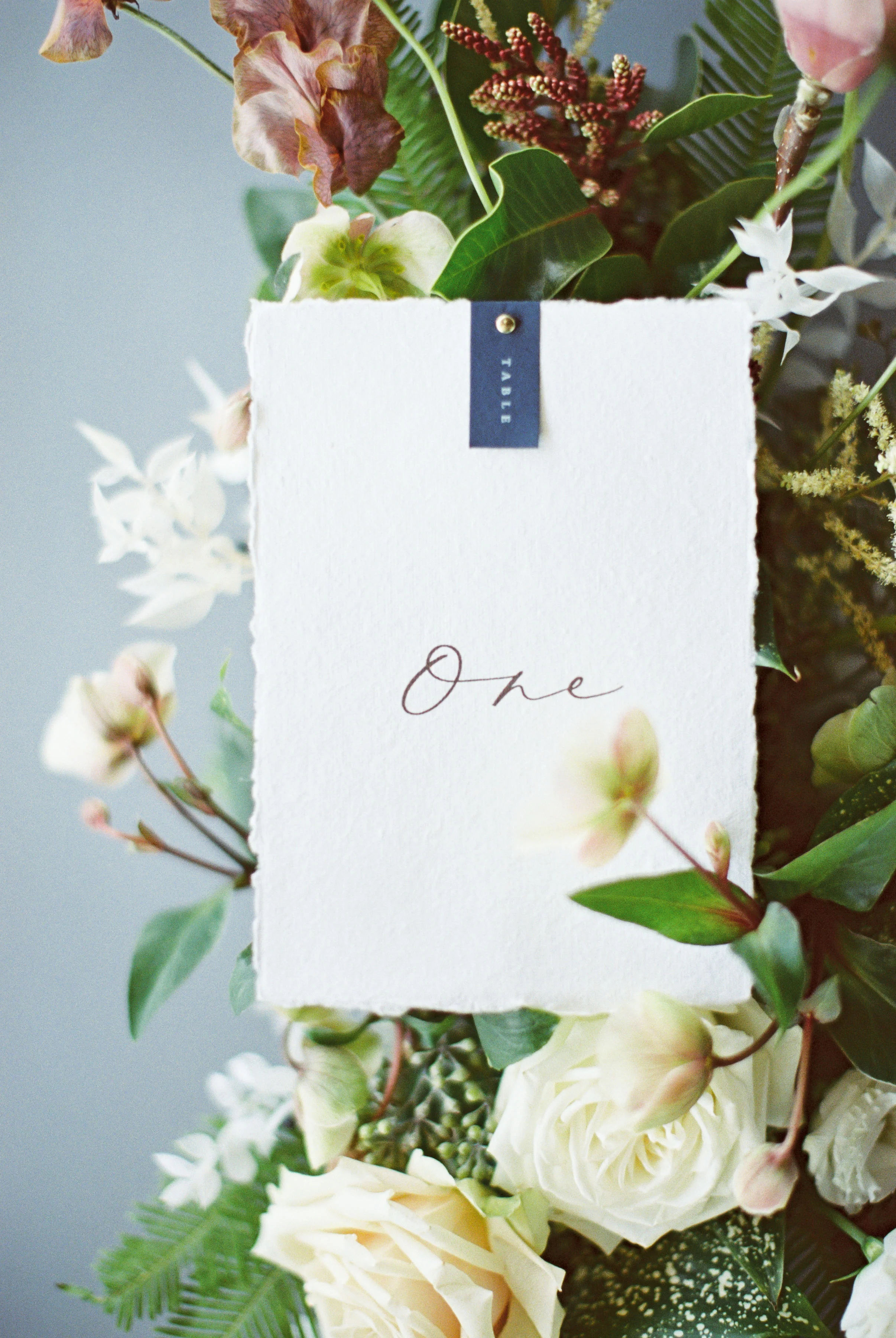 hannahcochranphotography-feb-25-2019-259.jpg