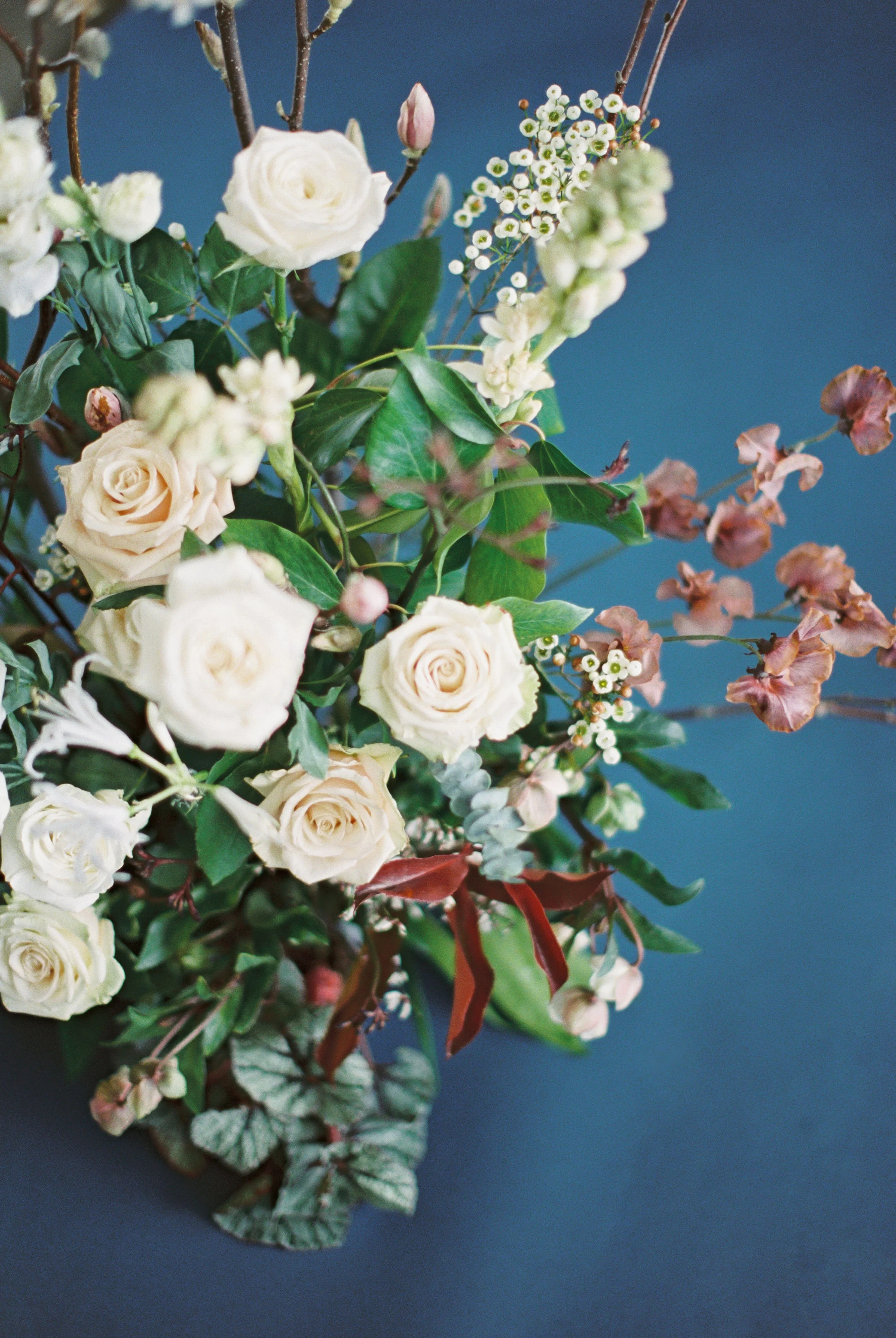 hannahcochranphotography-feb-25-2019-355.jpg