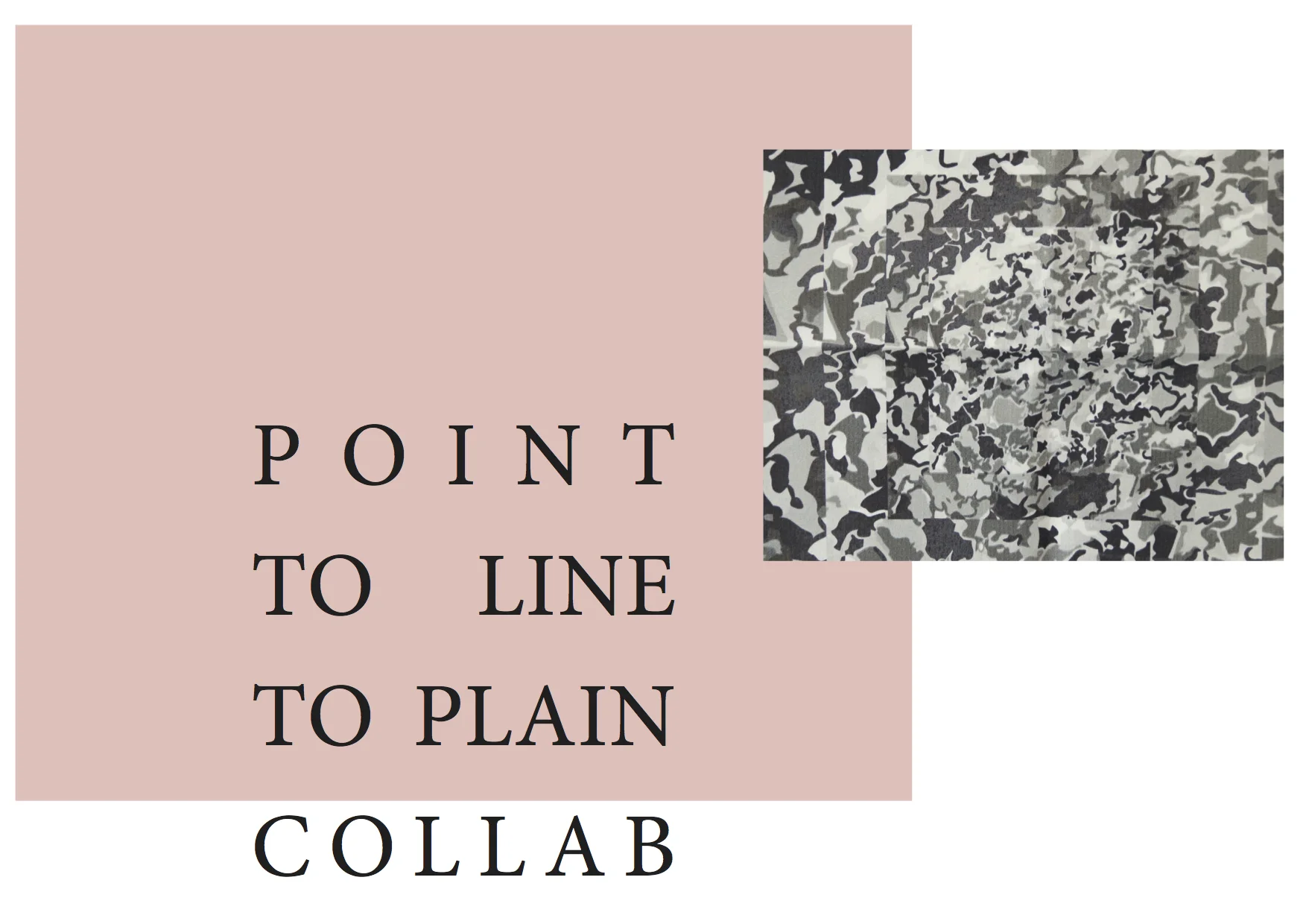 collab portfolio.jpg