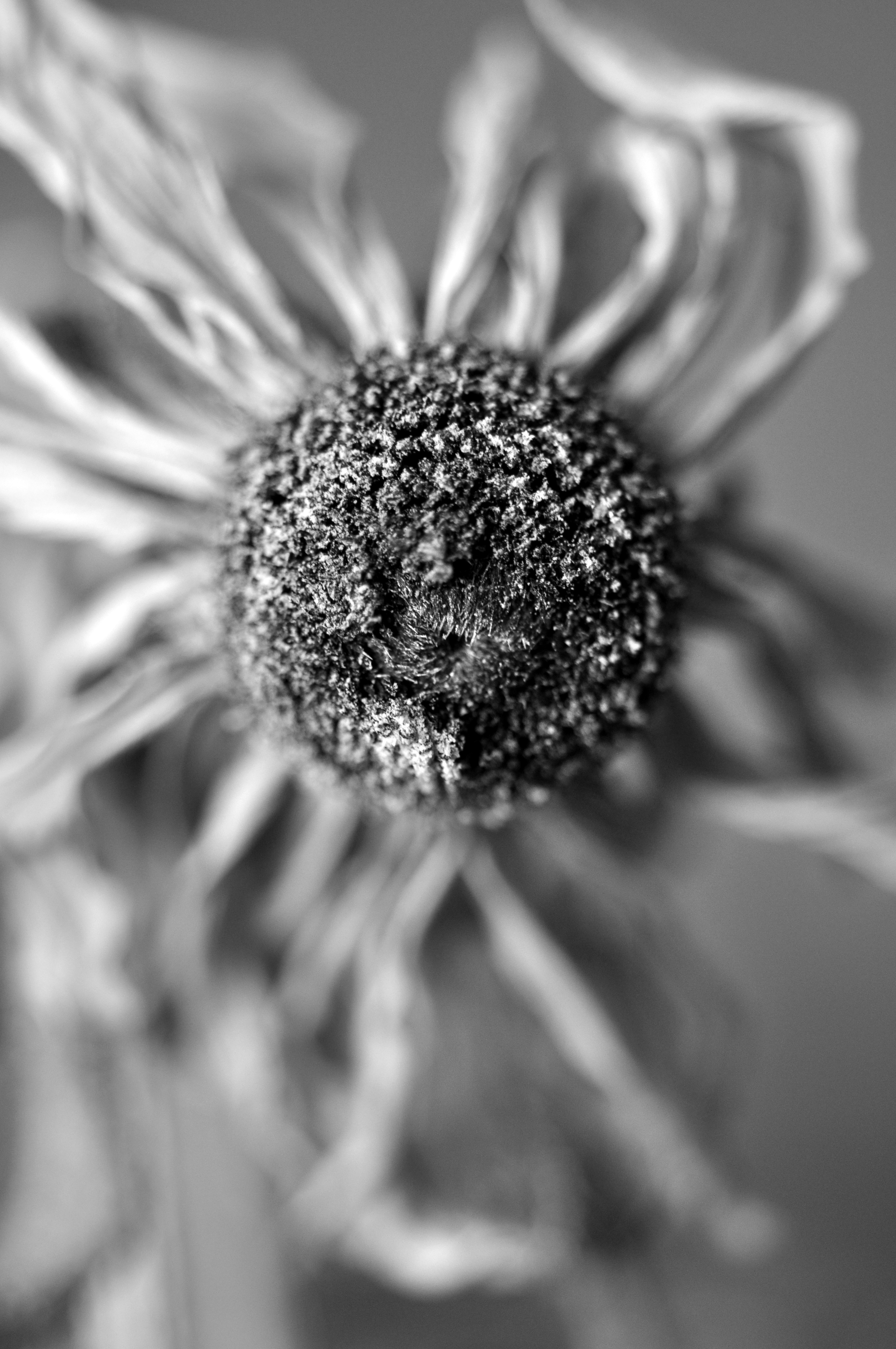 15910862592_f633bd15bd_o.jpg