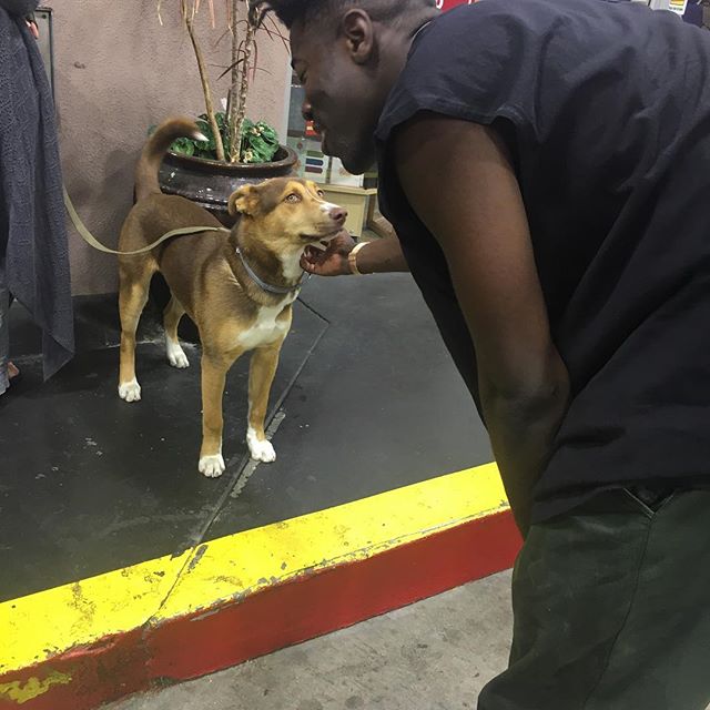 Just two pups having a moment @mosessumney