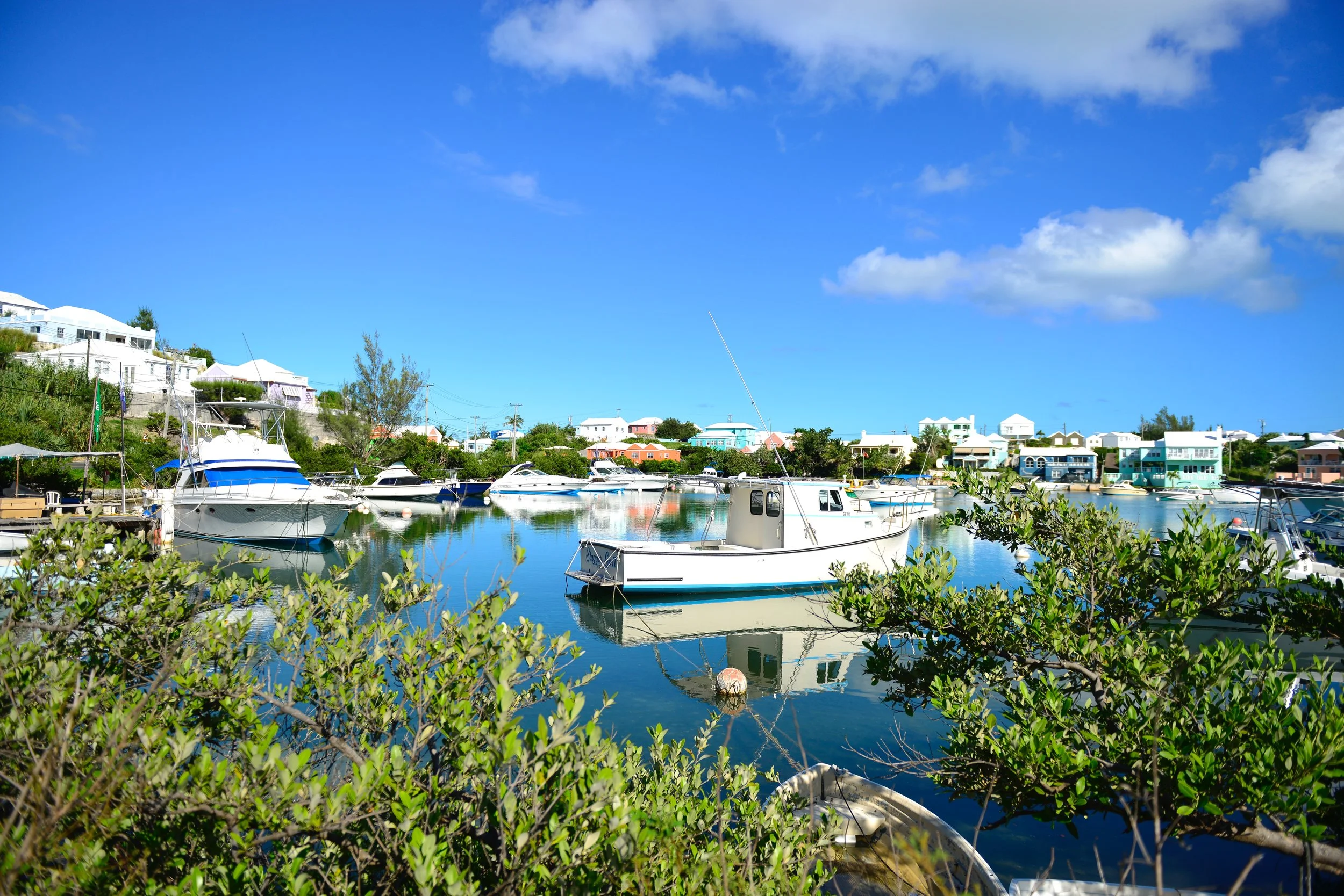I loved all the boats and brightly colored homes in this area. 