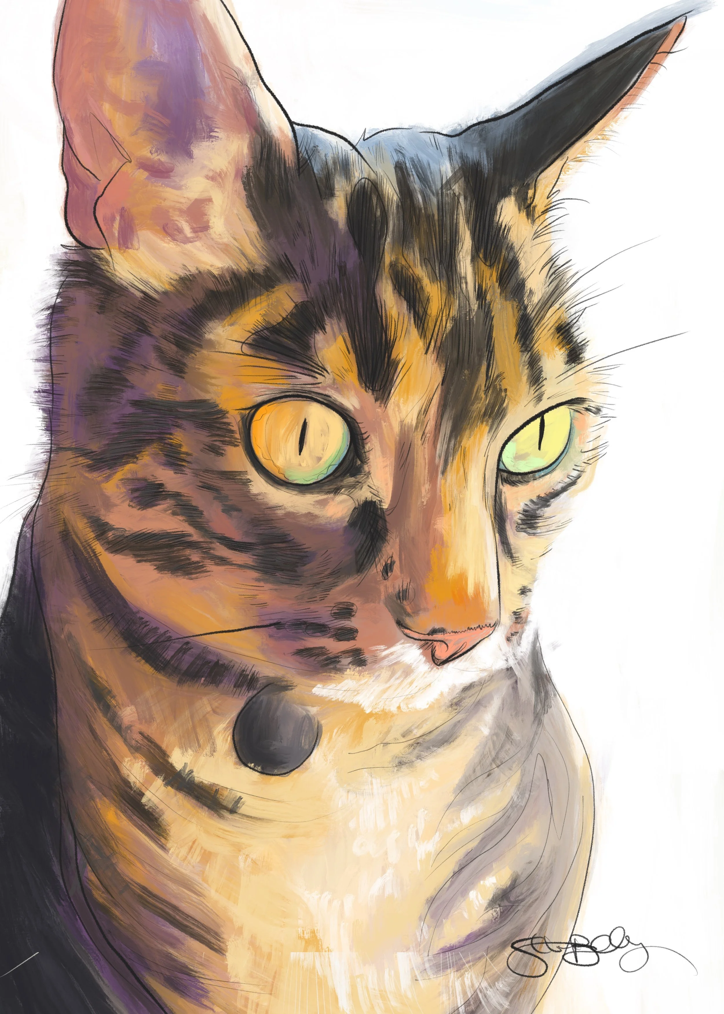 Kim_Darcie_Rutherford.jpg