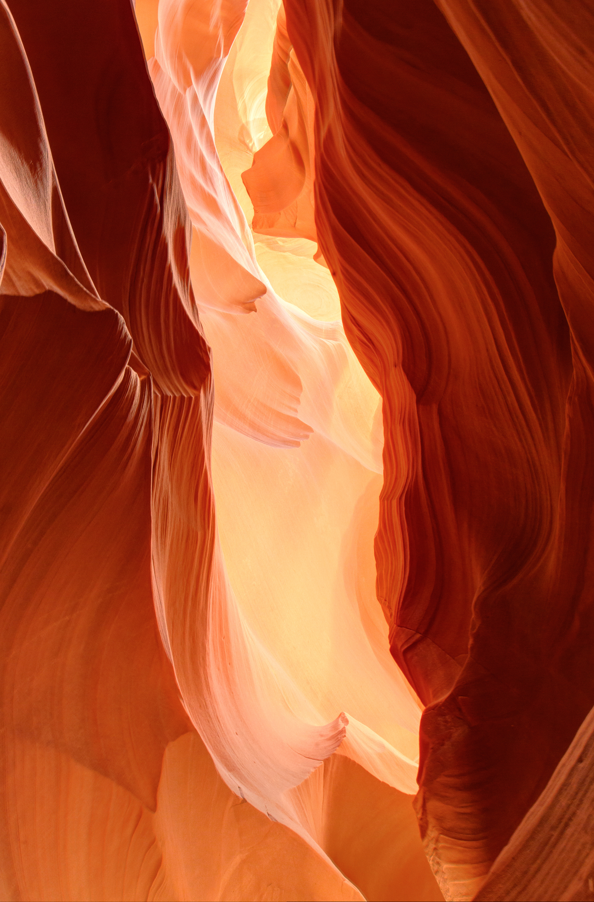 Portfolio--7.jpg