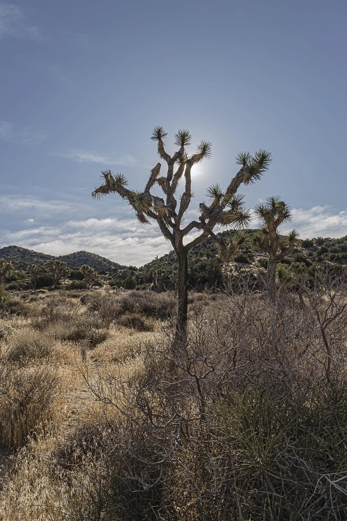 Website Update-23.jpg