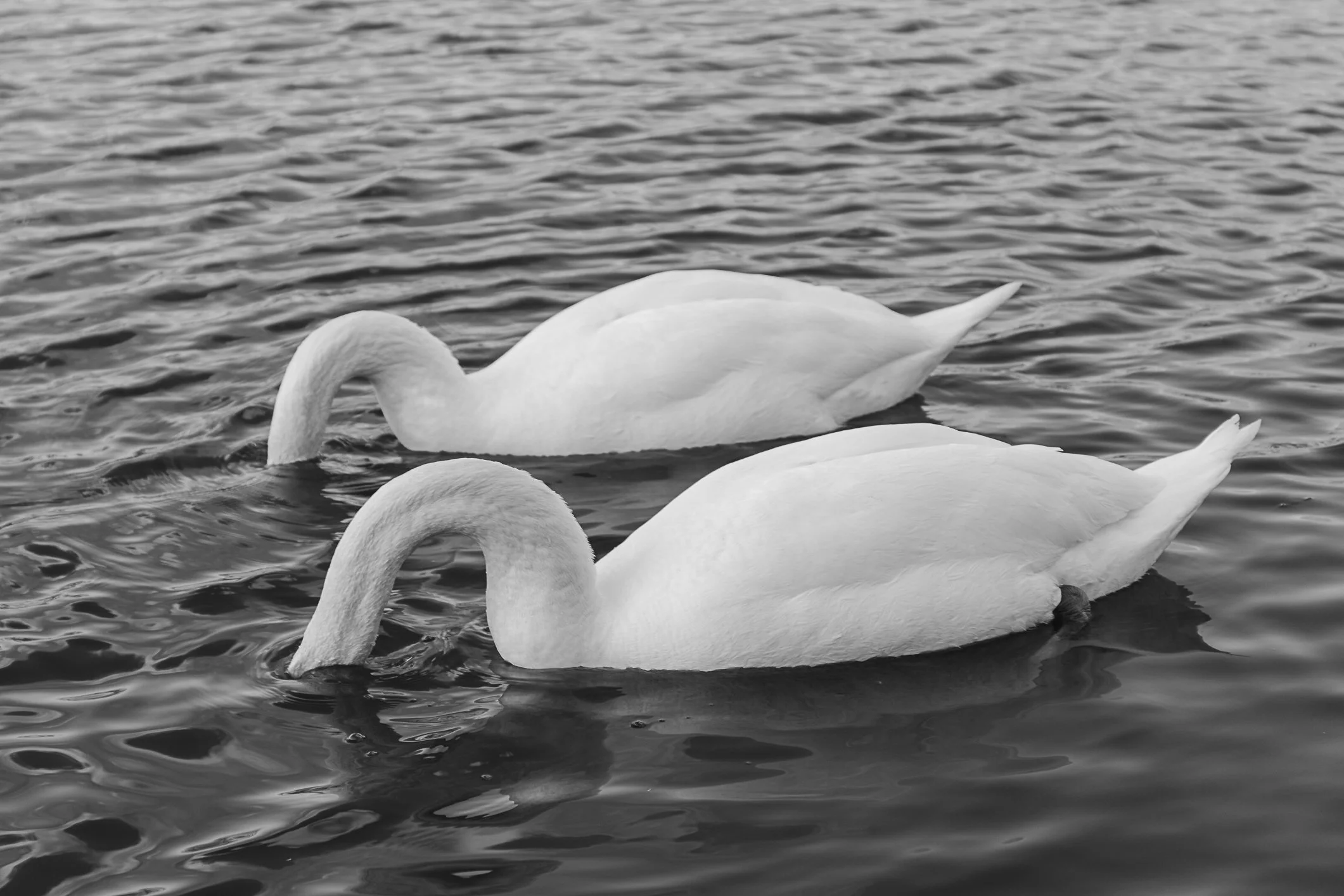 Website Update-12.jpg