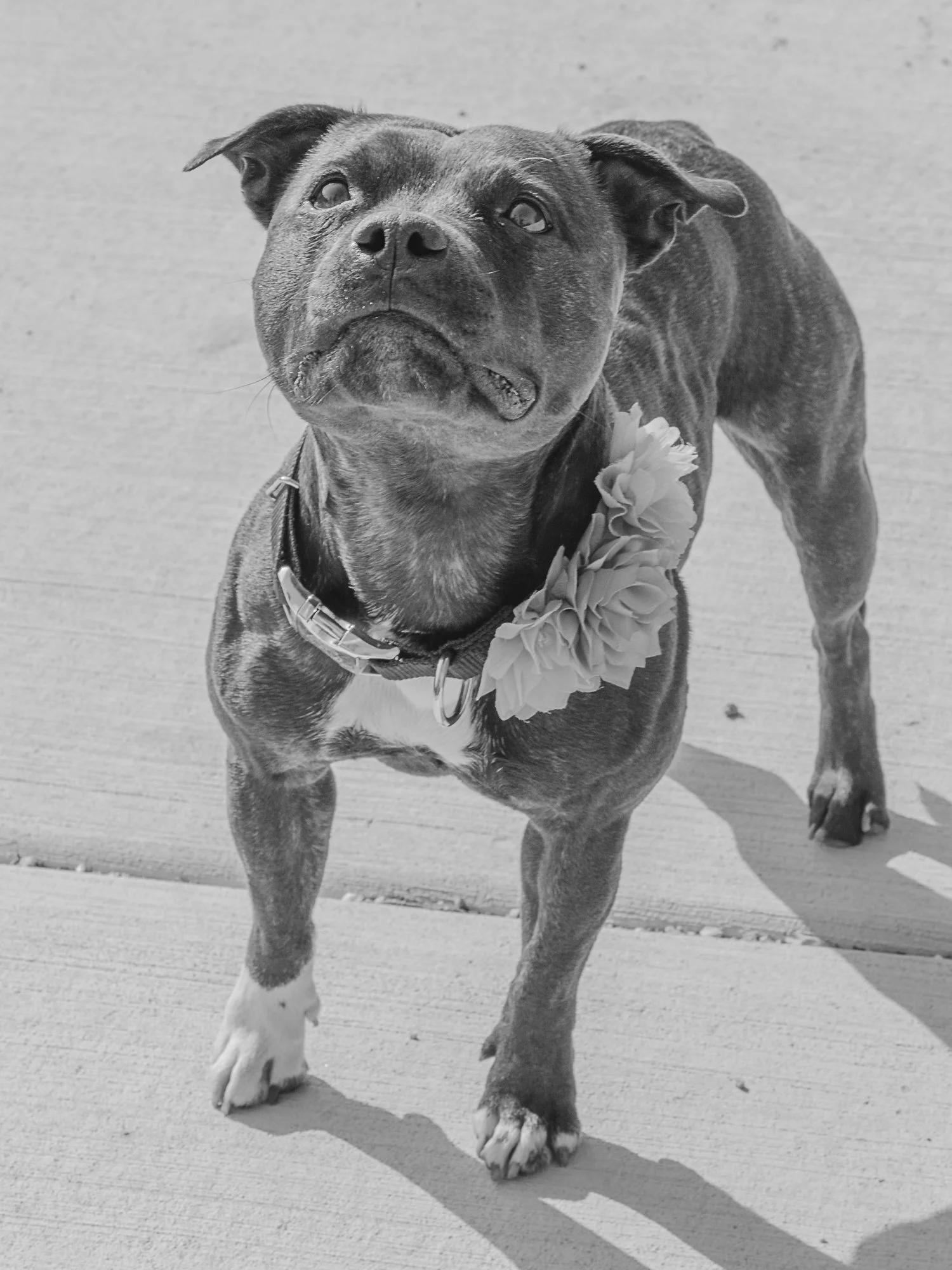 Website Update. add on.-5.jpg