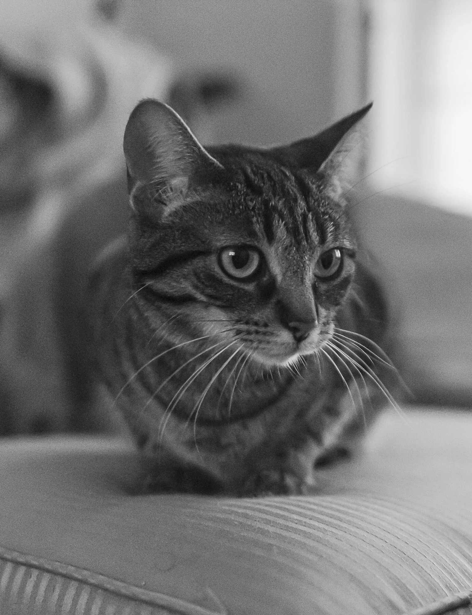 Website Update. add on.-4.jpg