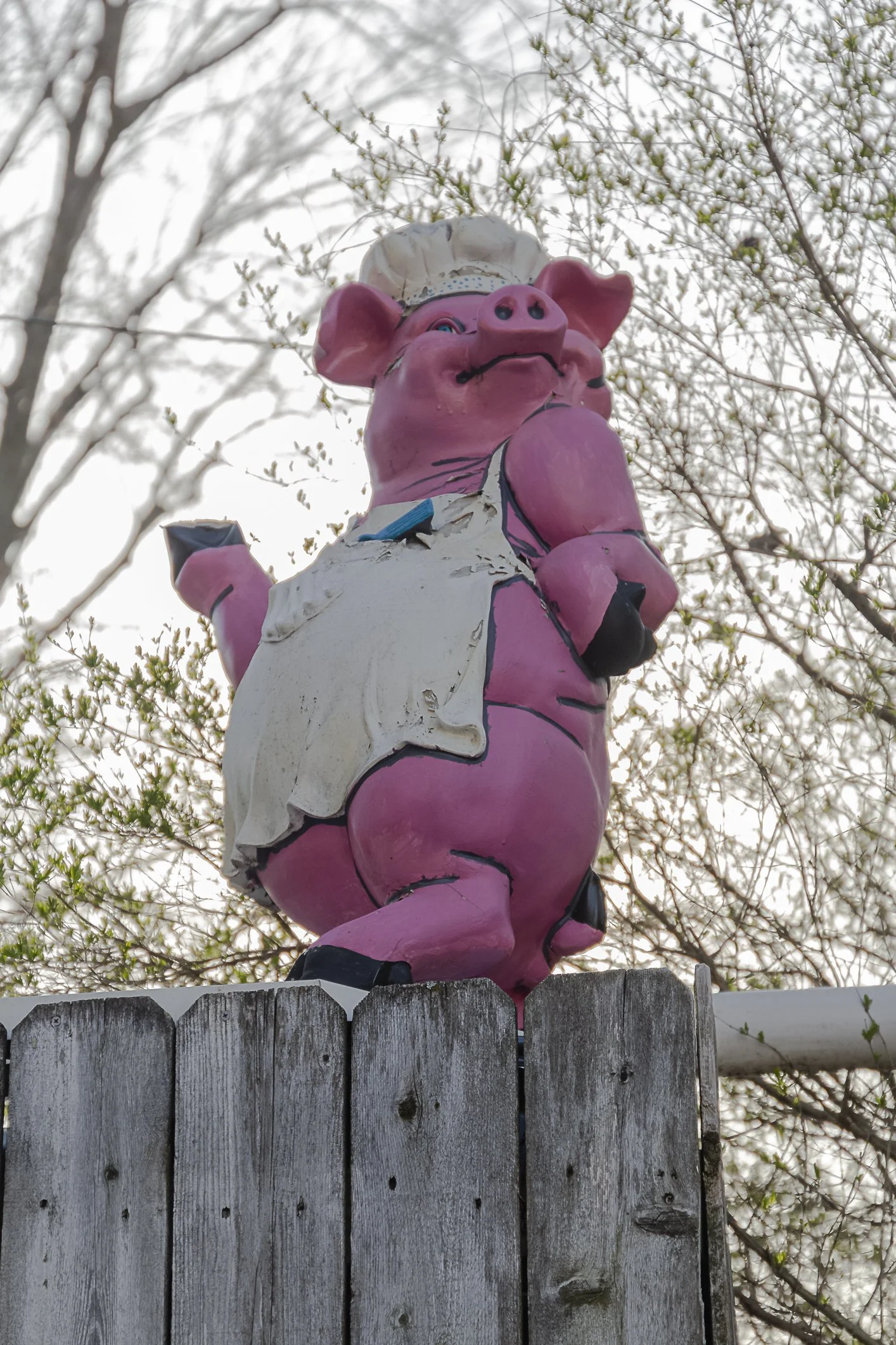 Website Update. add on.-1.jpg