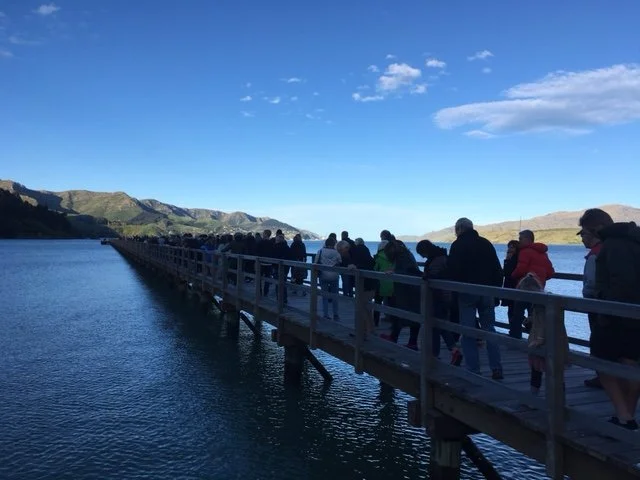 Jetty4 - by Jenny Swaffield.JPG