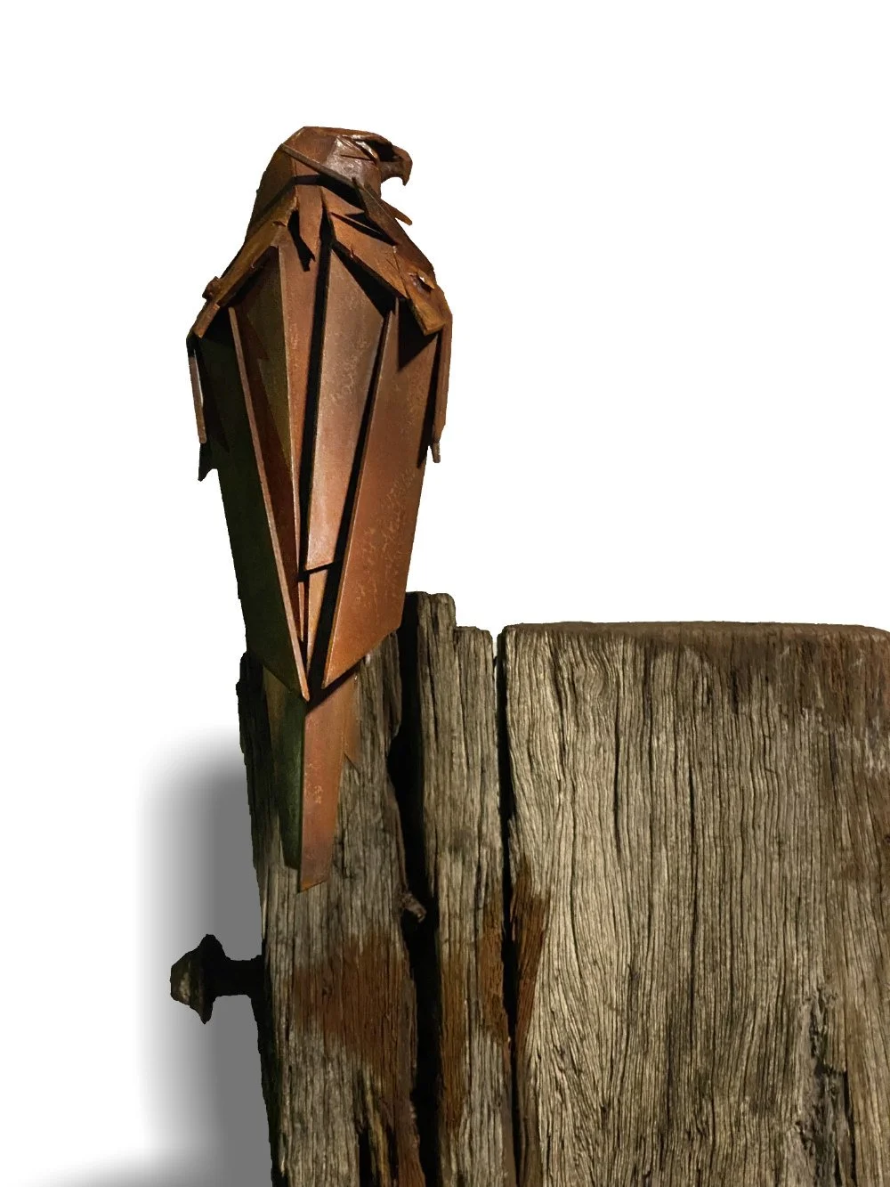 Hawk_Simon Max Bannister_LR Tight angle.jpg