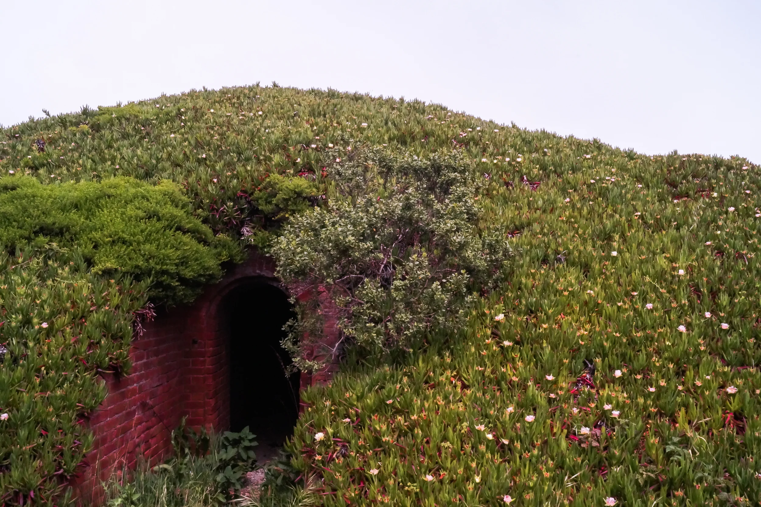 20150419-DSC04859.jpg
