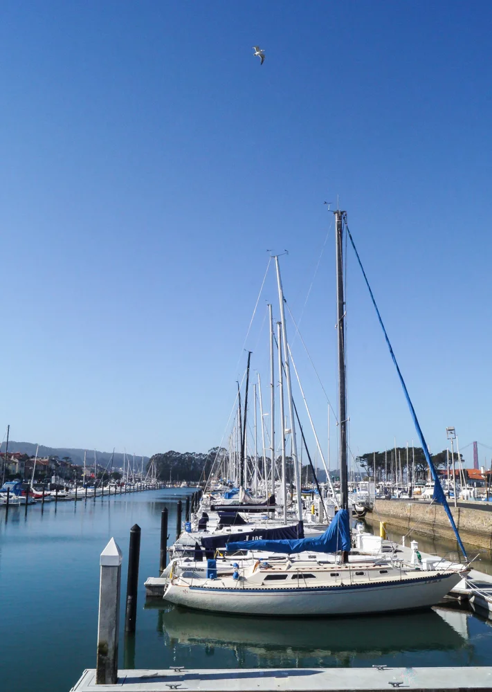 20150125-DSC04102.jpg