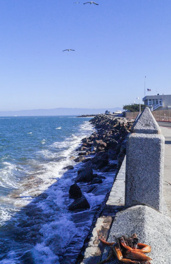 20150125-DSC04133.jpg