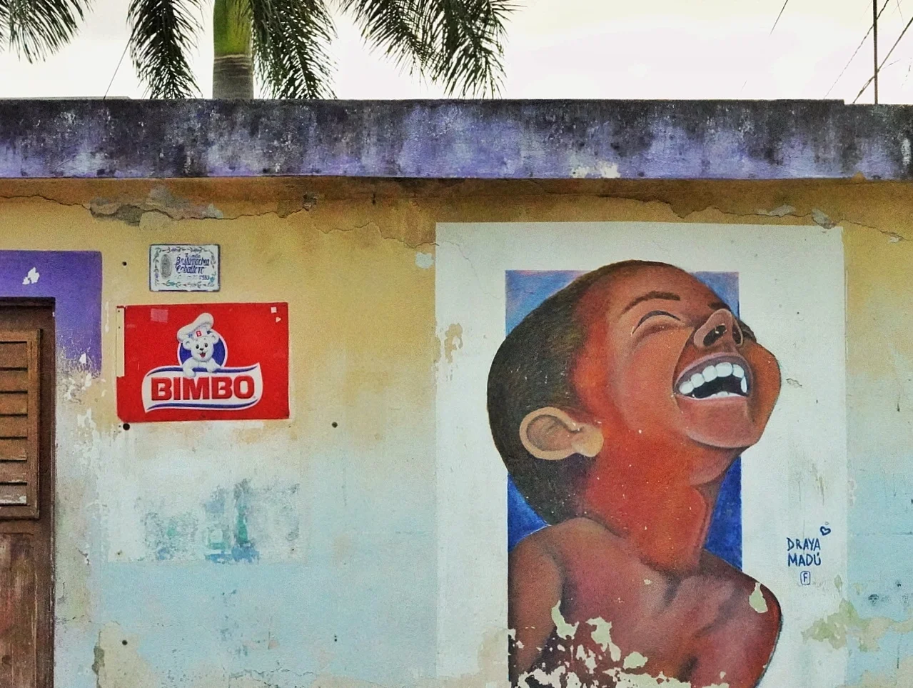 _DSC1543.jpeg